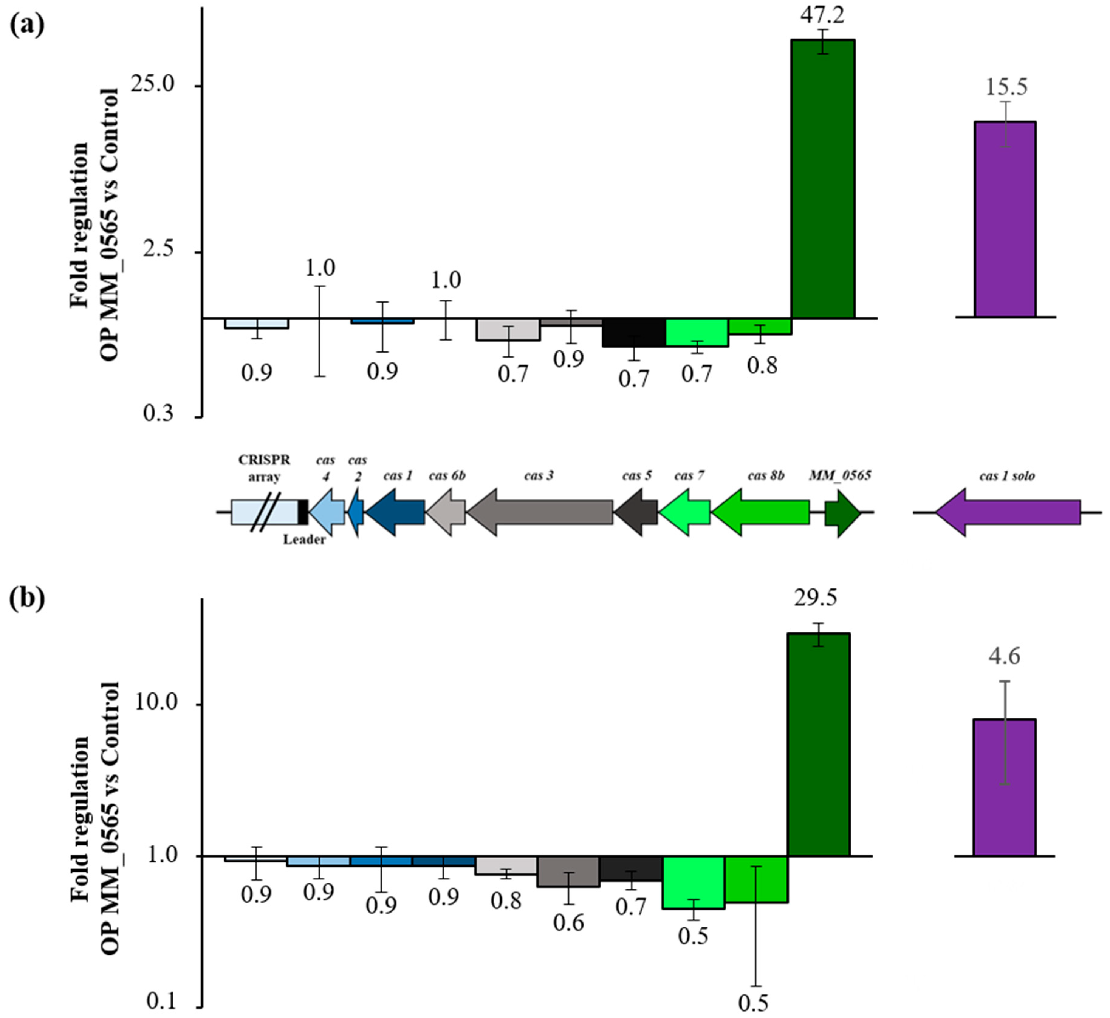 Biomolecules 10 01161 g007