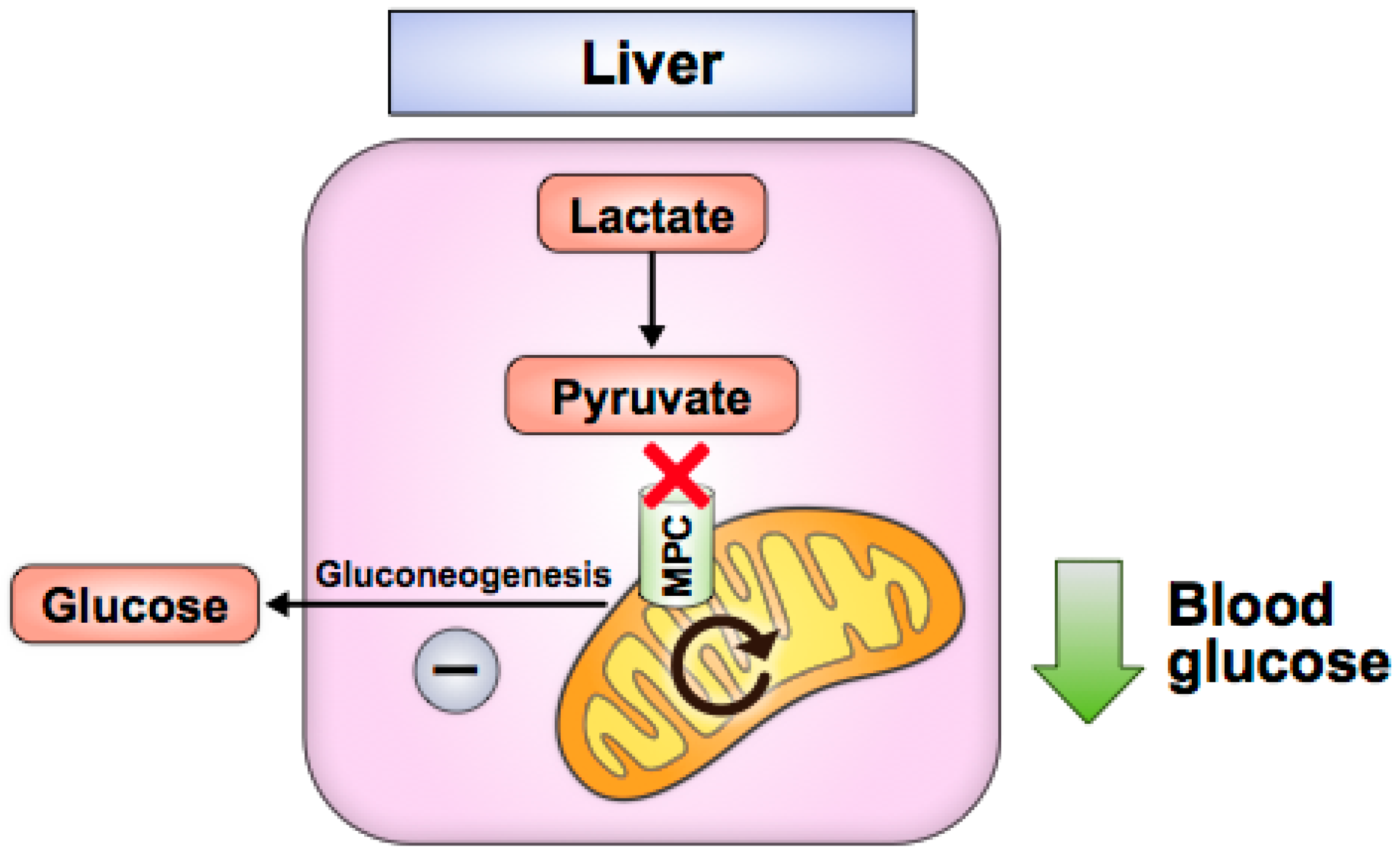 Biomolecules 10 01162 g003