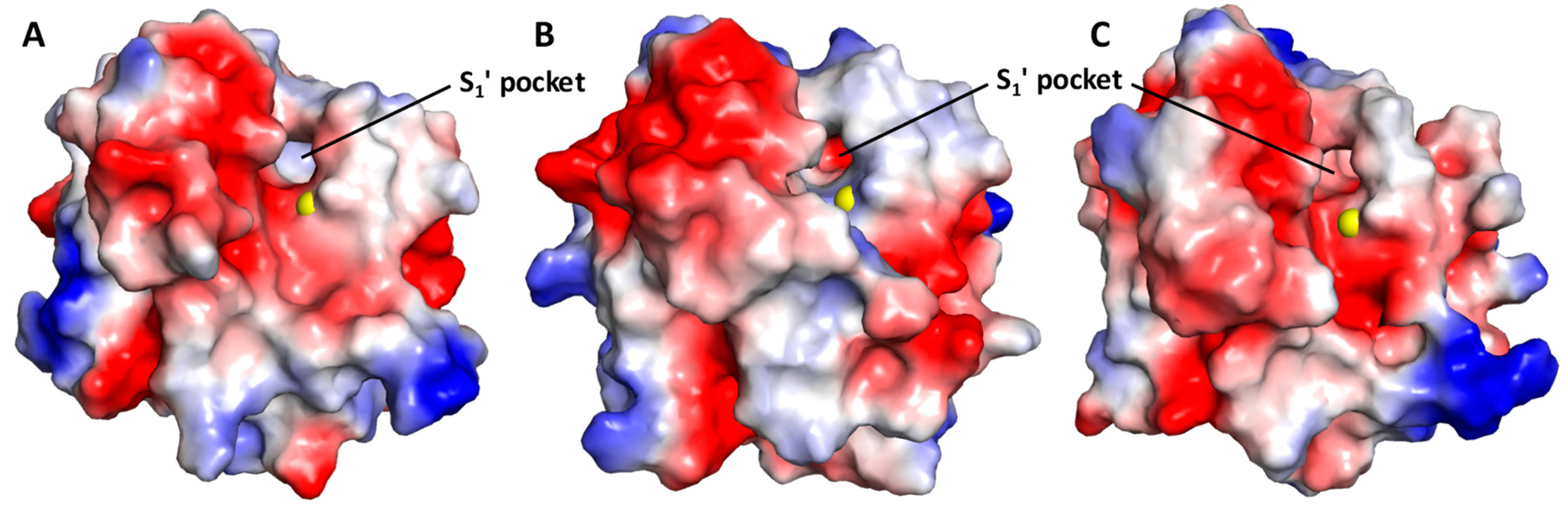 Biomolecules 10 01166 g002 Biomolecules 10 01166 g002