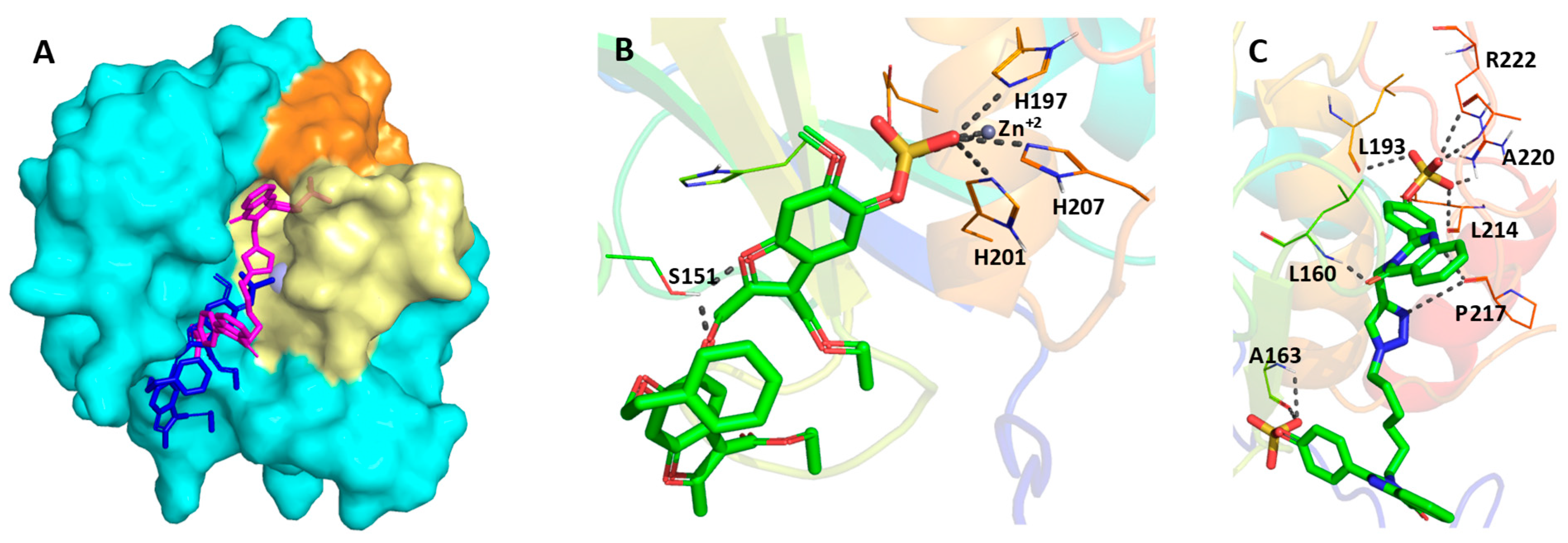 Biomolecules 10 01166 g005 Biomolecules 10 01166 g005