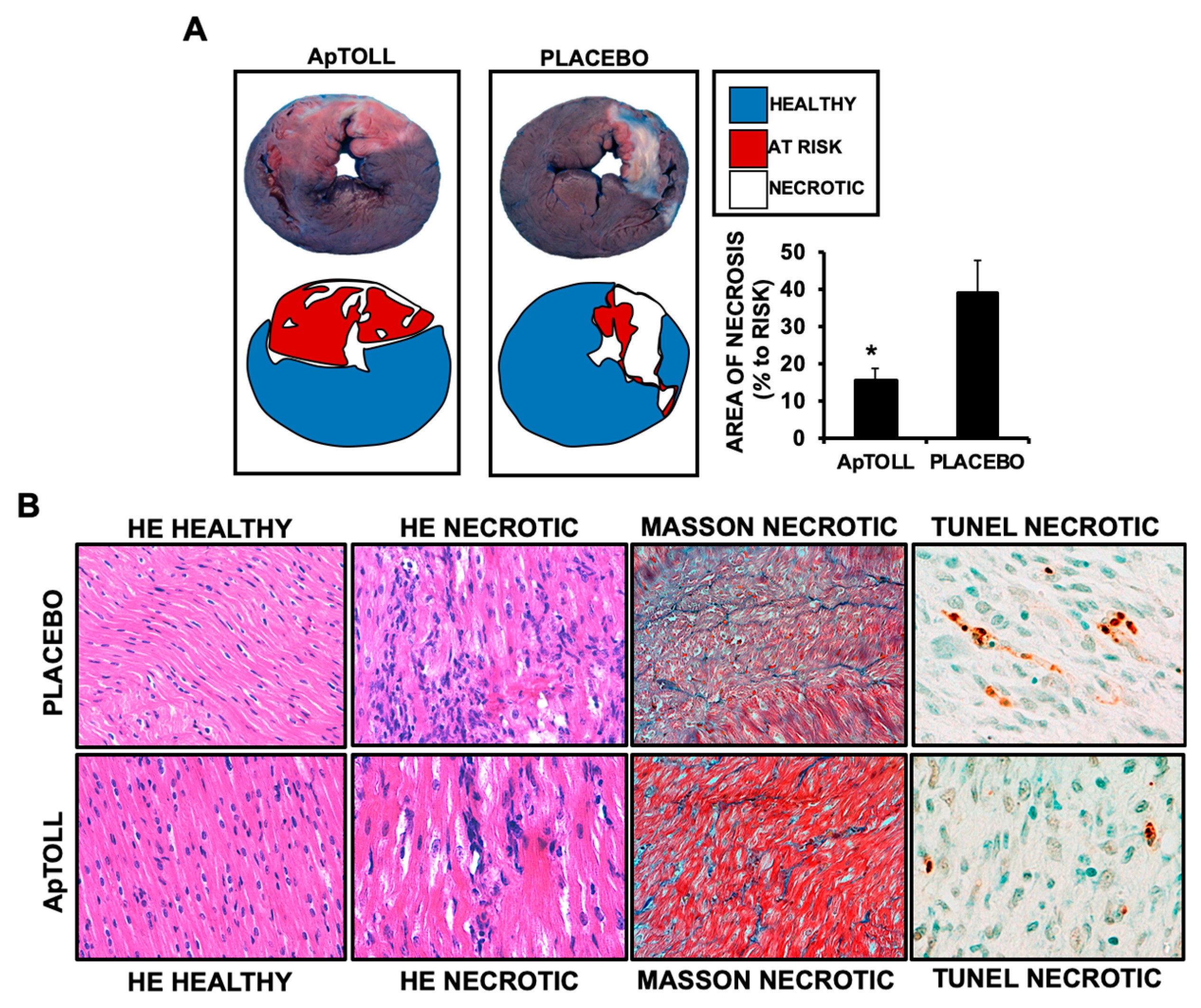 Biomolecules 10 01167 g003
