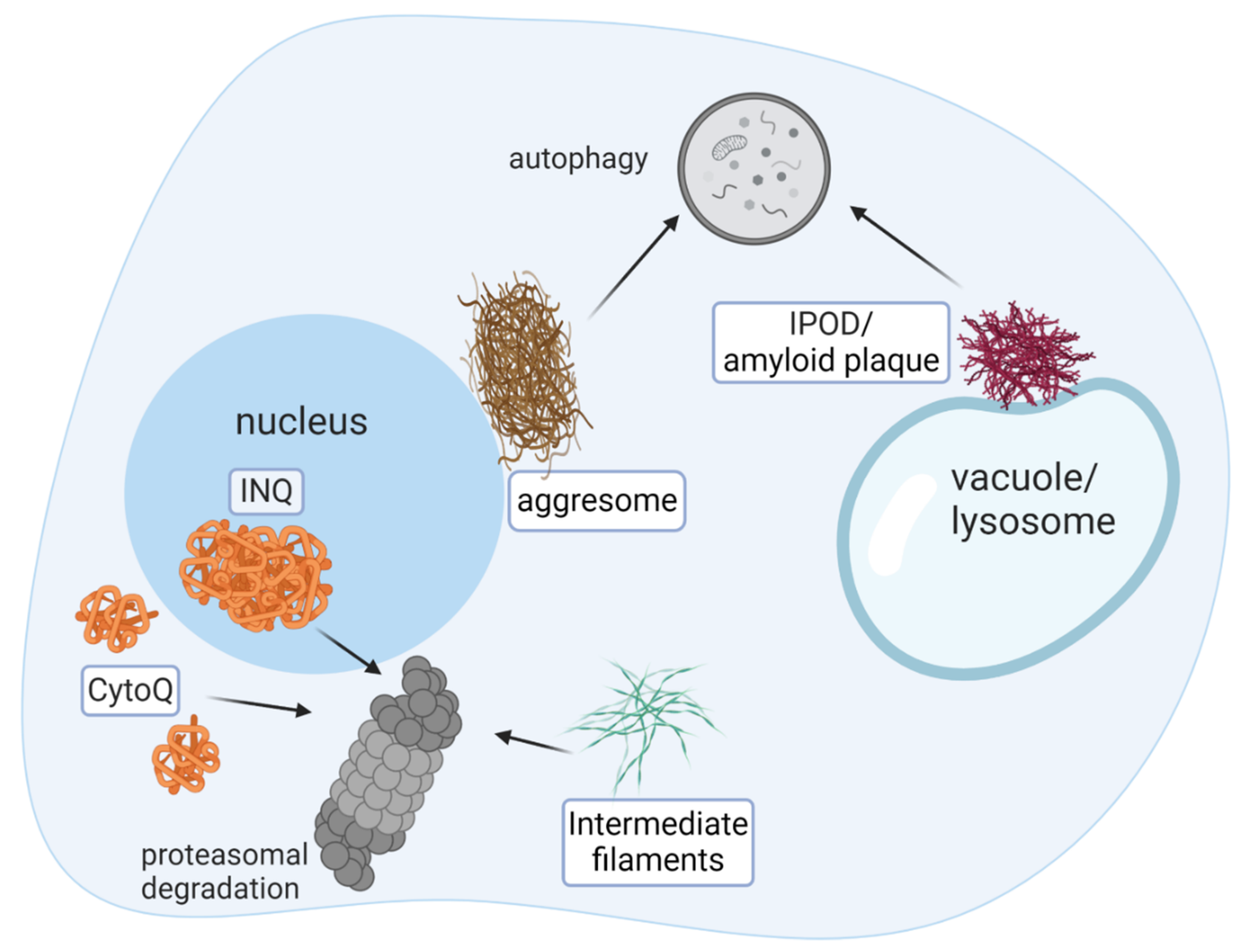 Biomolecules 10 01168 g001 Biomolecules 10 01168 g001