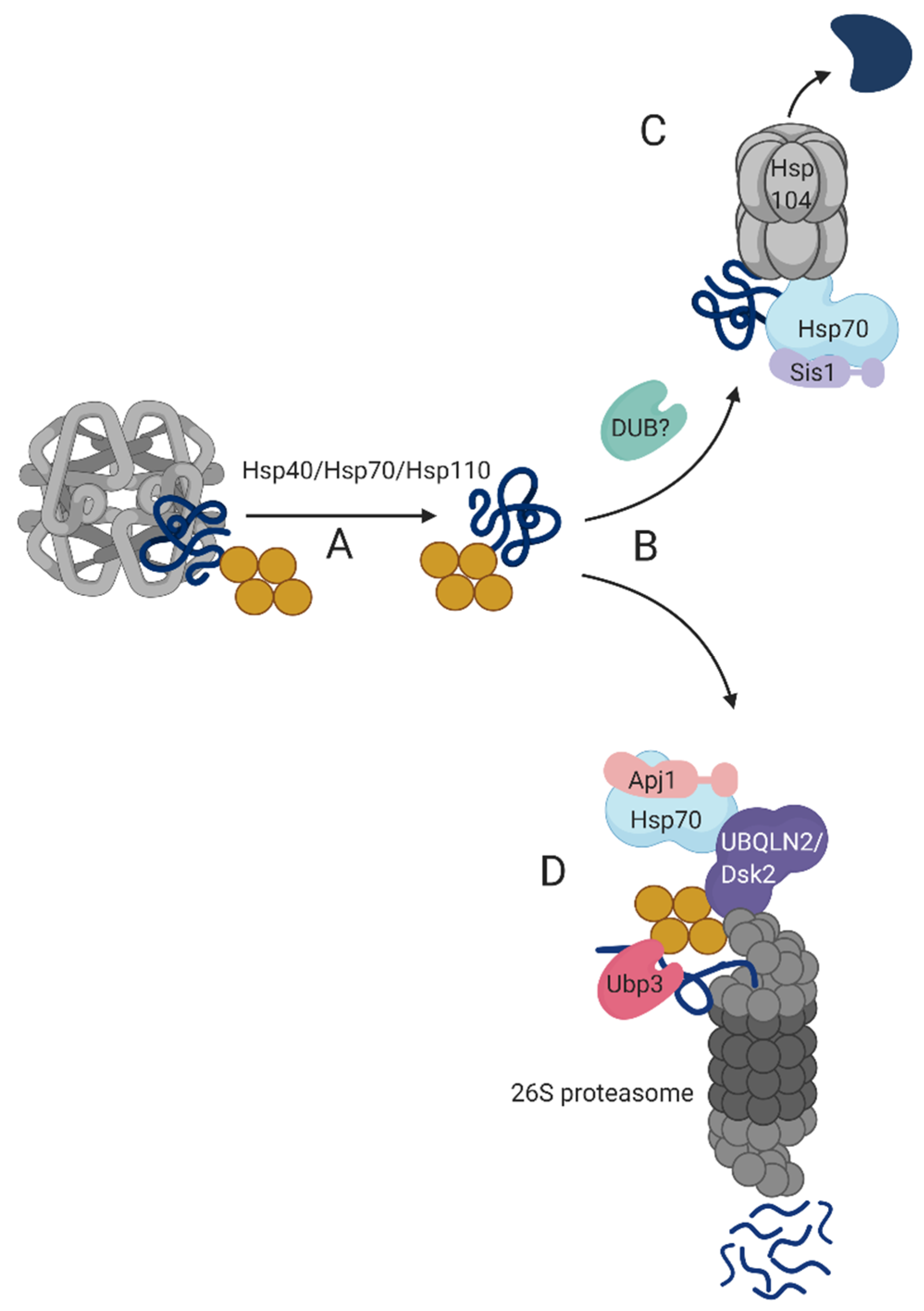 Biomolecules 10 01168 g002 Biomolecules 10 01168 g002
