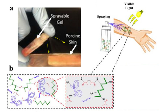 Biomolecules 10 01169 g003 550