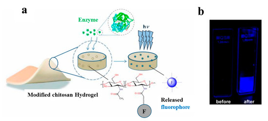 Biomolecules 10 01169 g007 550