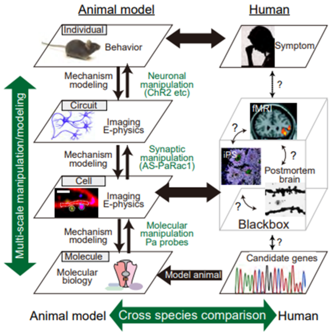 Biomolecules 10 01172 g001 Biomolecules 10 01172 g001