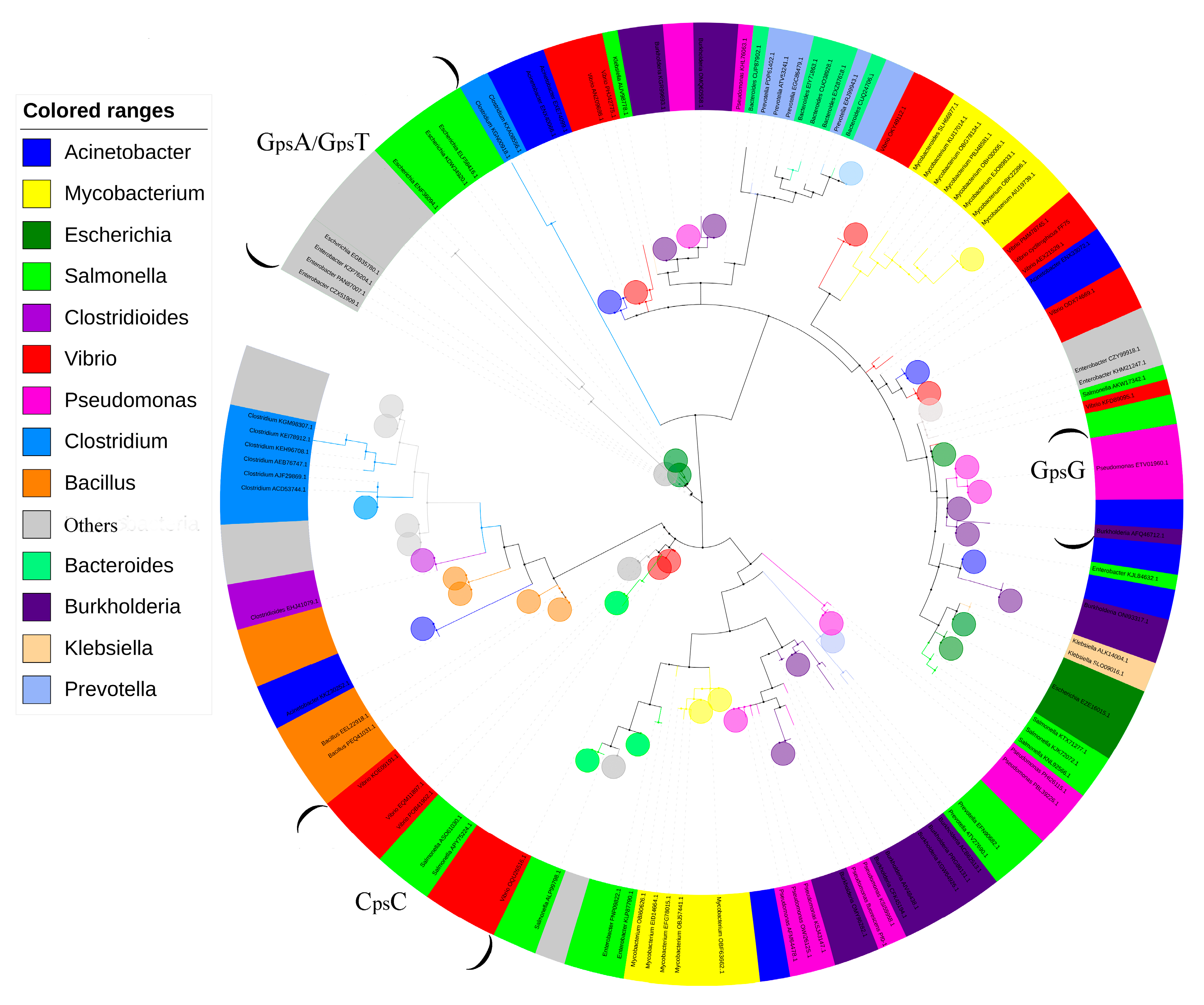 Biomolecules 10 01175 g001 Biomolecules 10 01175 g001