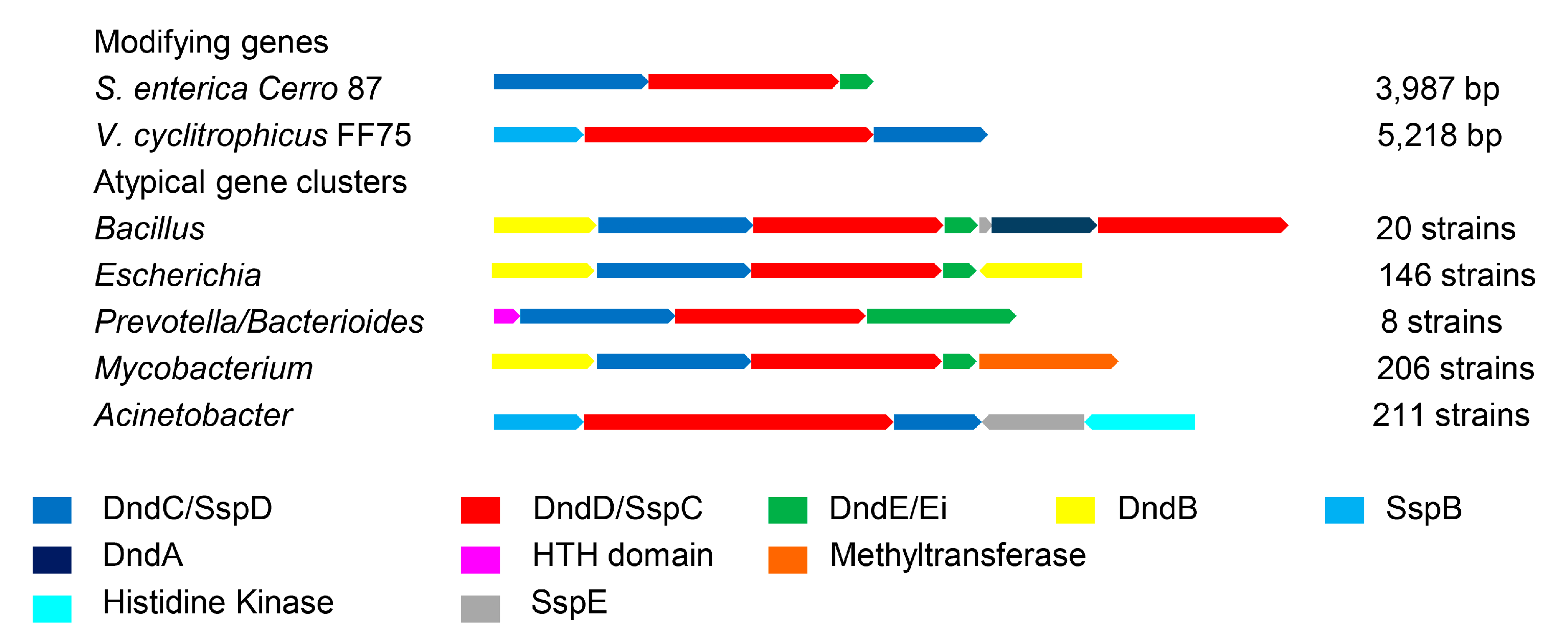 Biomolecules 10 01175 g004 Biomolecules 10 01175 g004