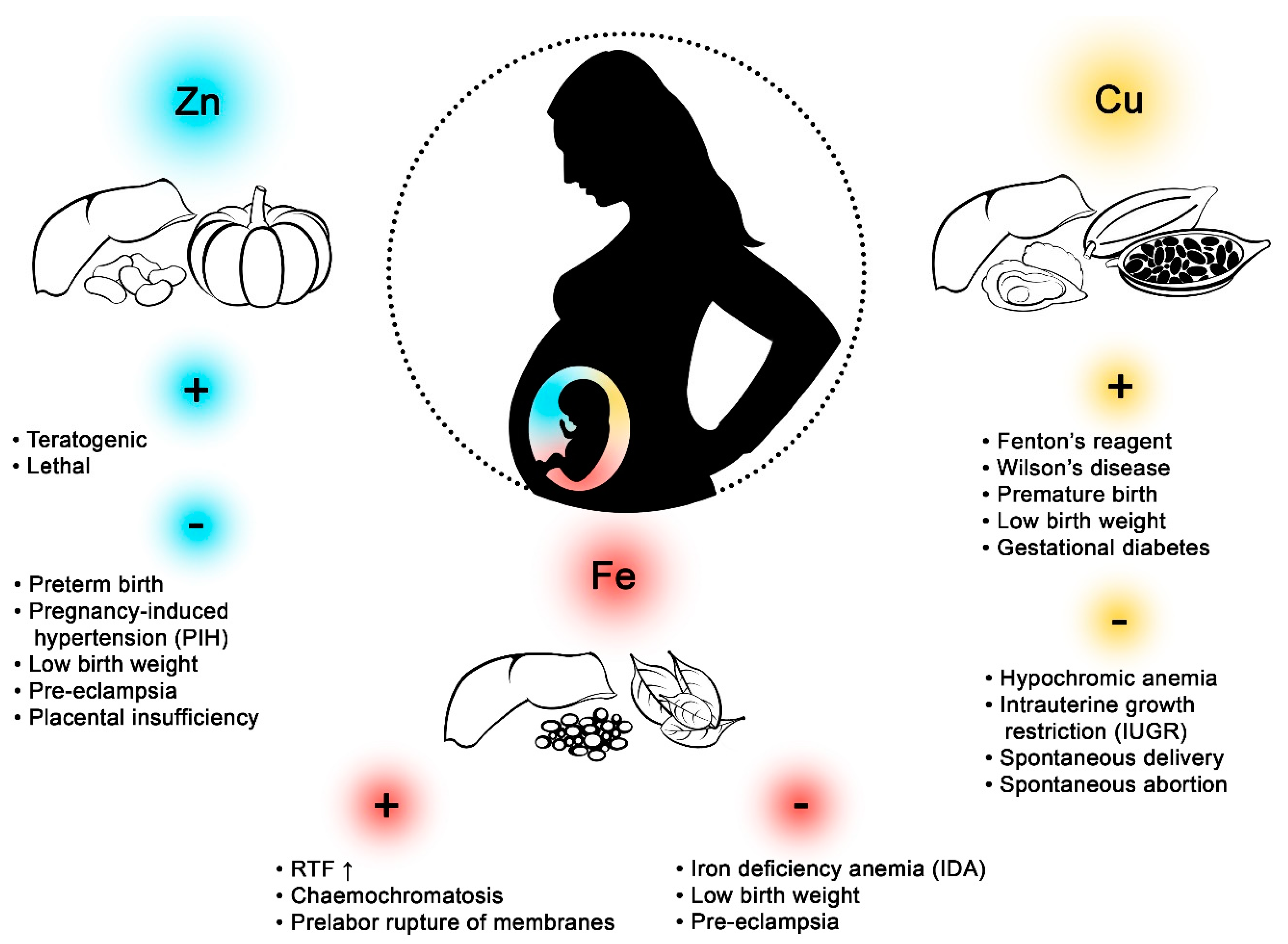 Prostatitis és anémia