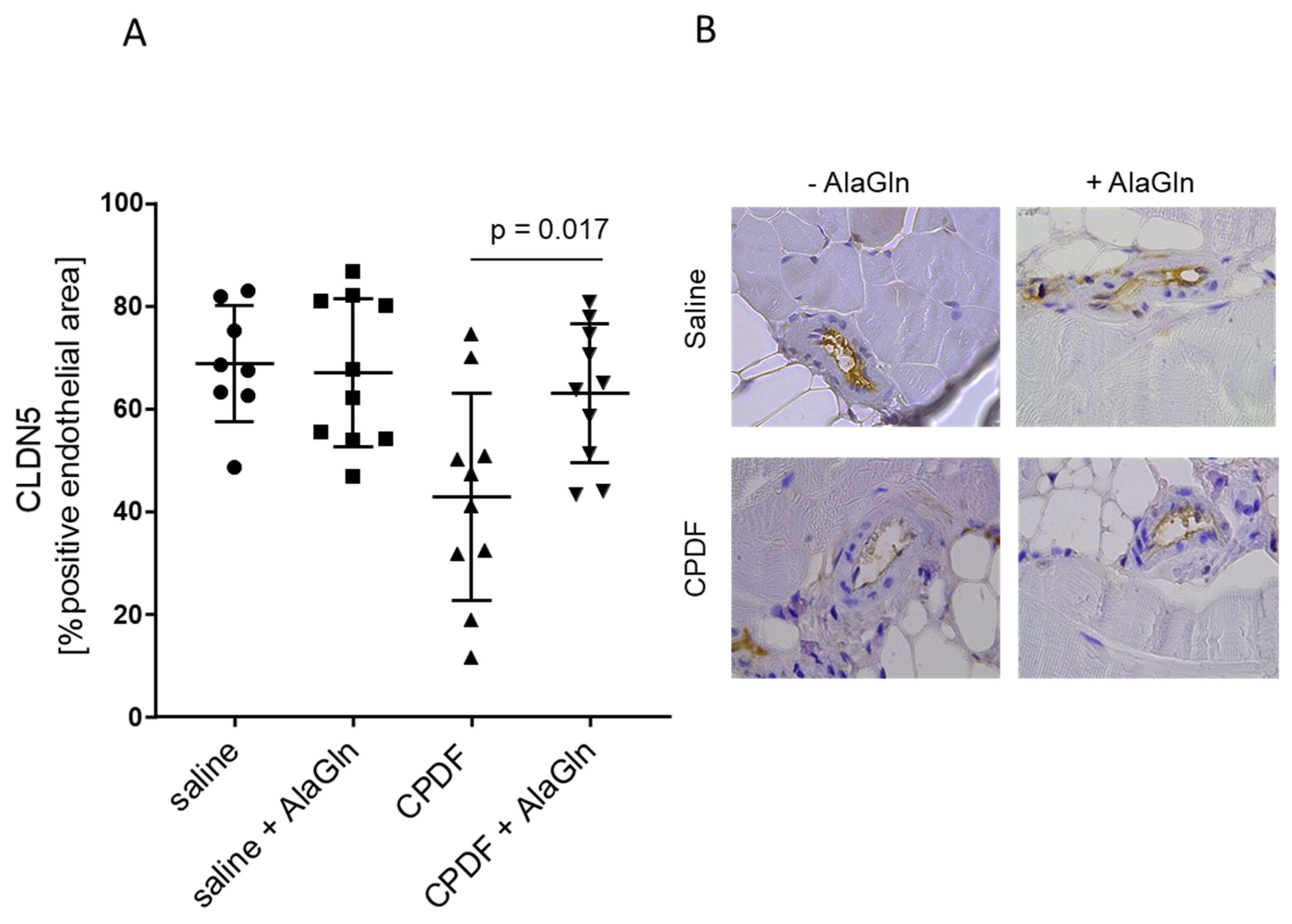 Biomolecules 10 01178 g004 Biomolecules 10 01178 g004