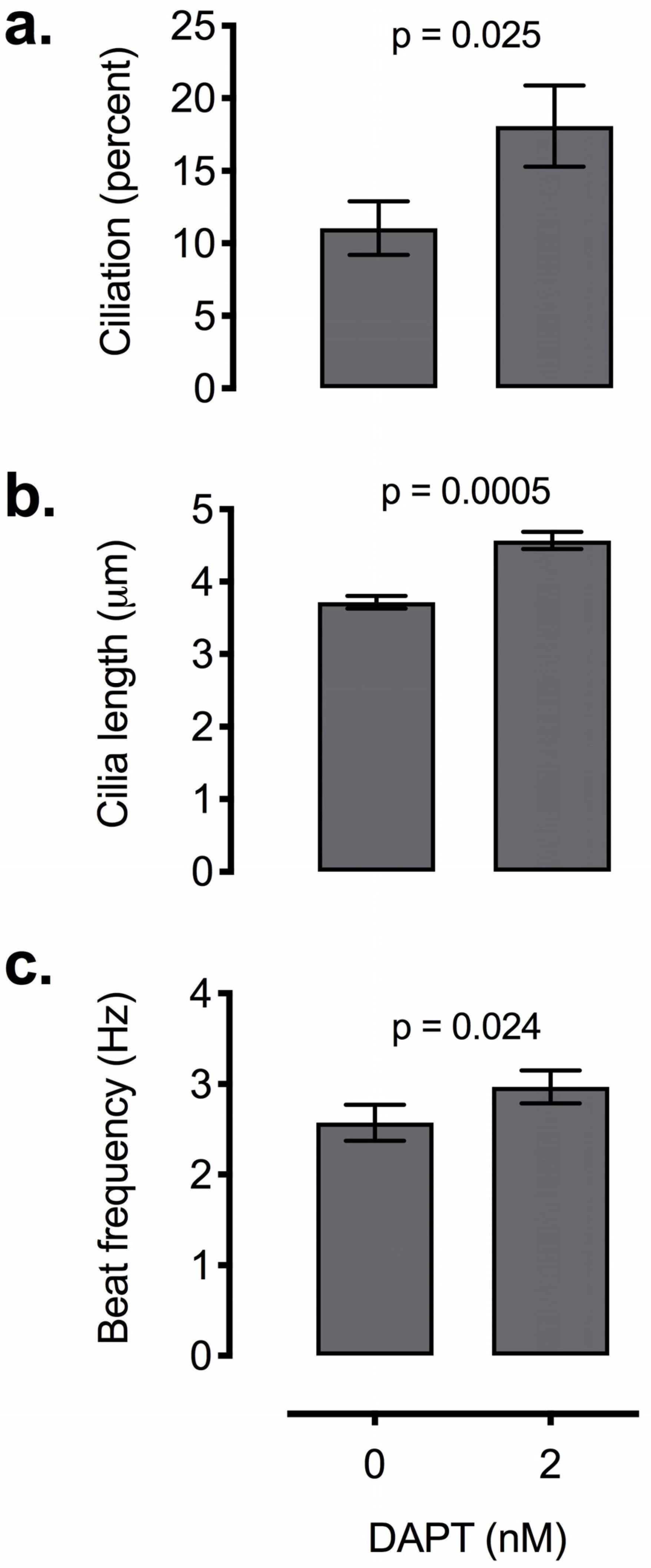 Biomolecules 10 01182 g006 Biomolecules 10 01182 g006