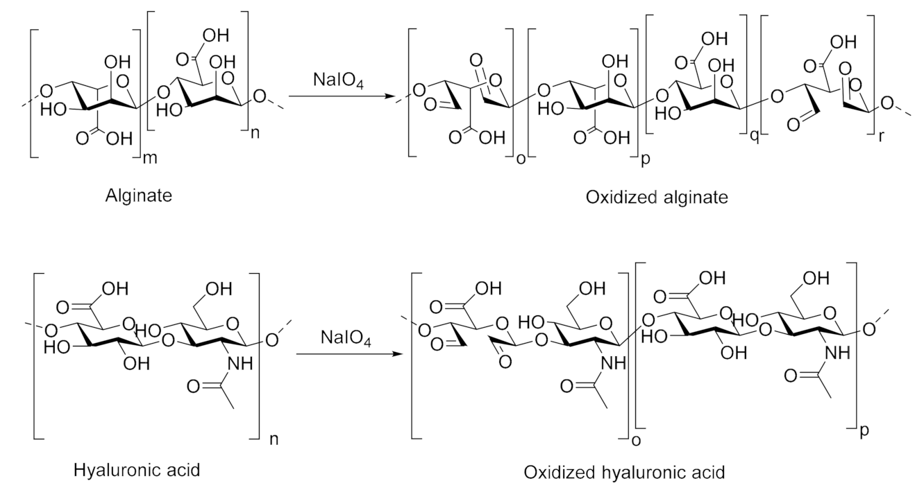 Biomolecules 10 01185 g001