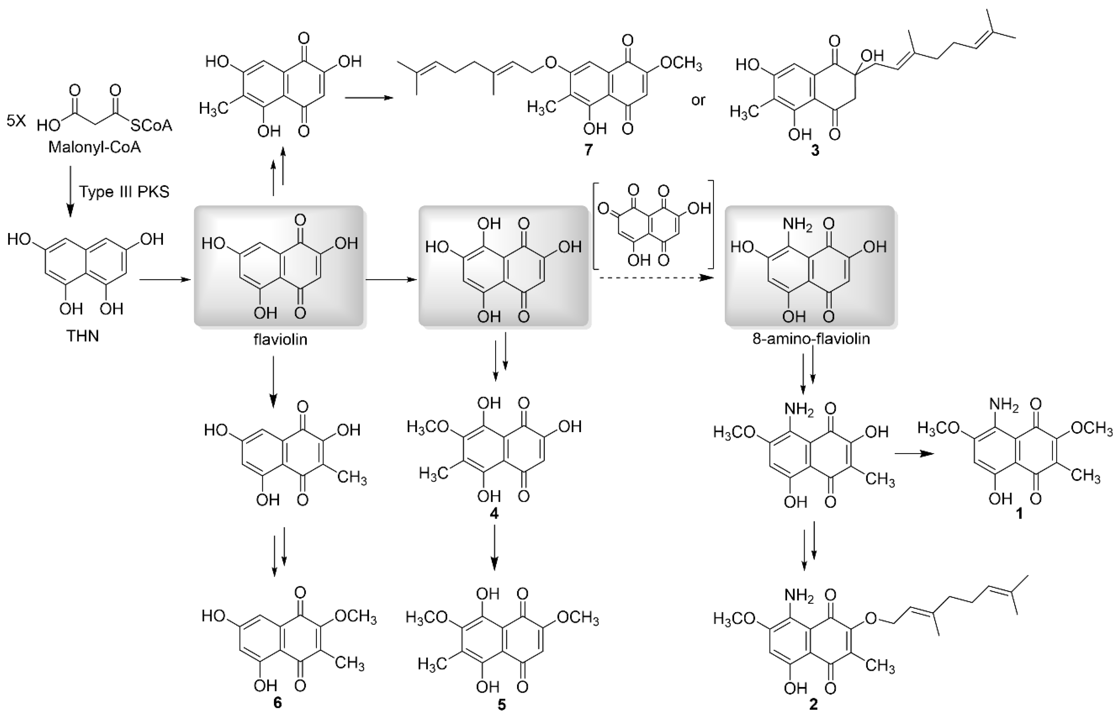 Biomolecules 10 01187 g004