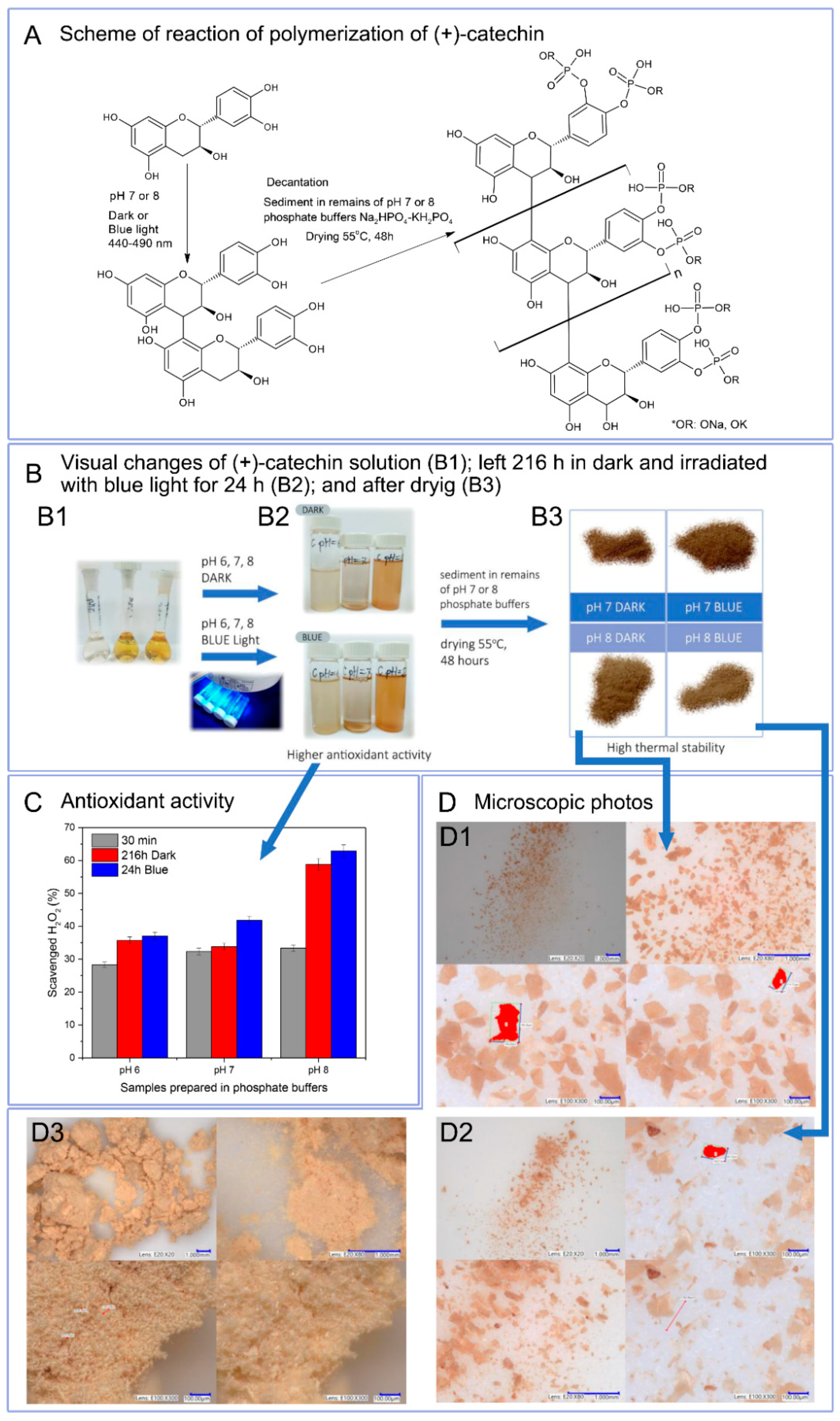 Biomolecules 10 01191 g002