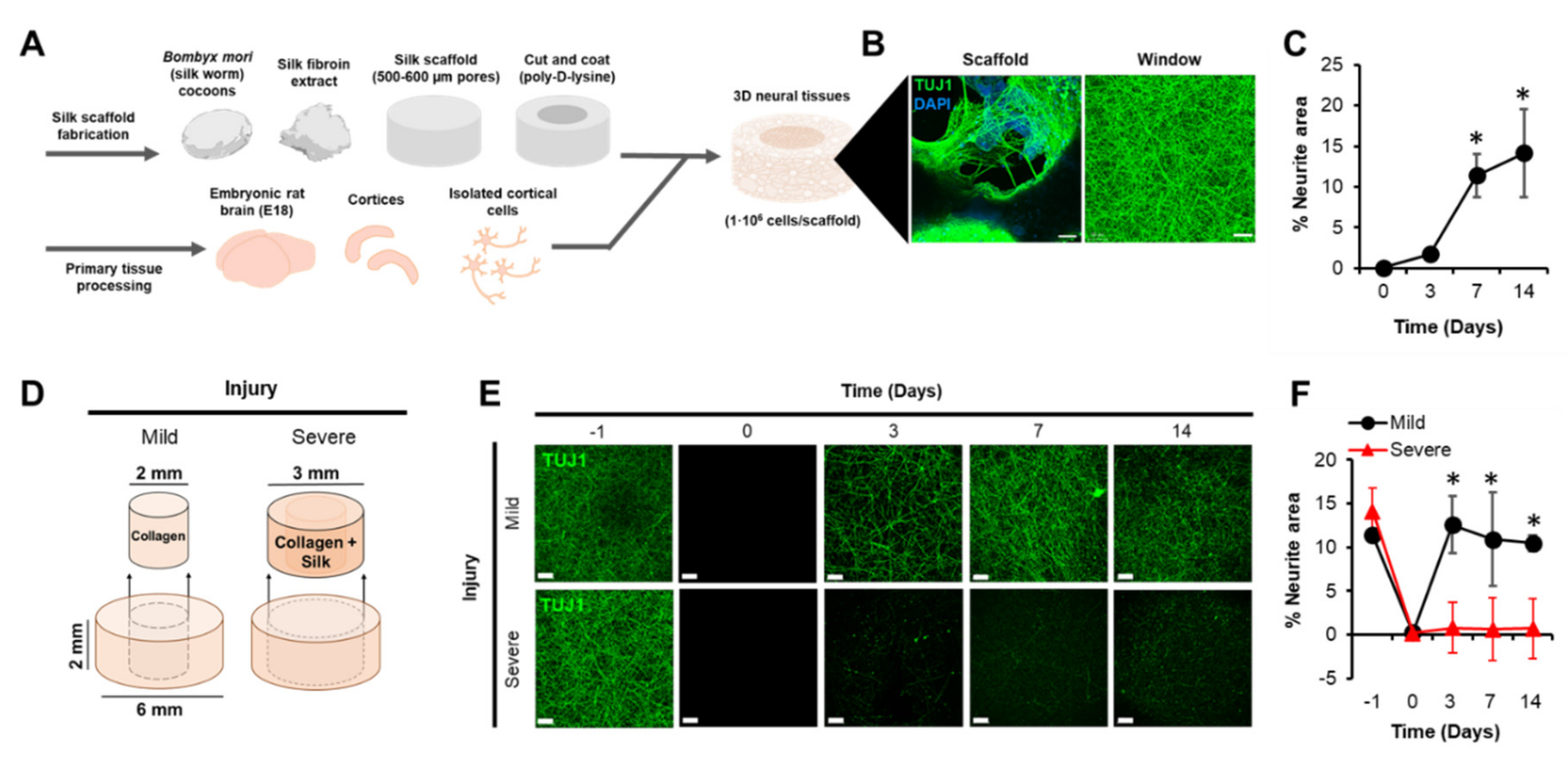 Biomolecules 10 01196 g001 Biomolecules 10 01196 g001
