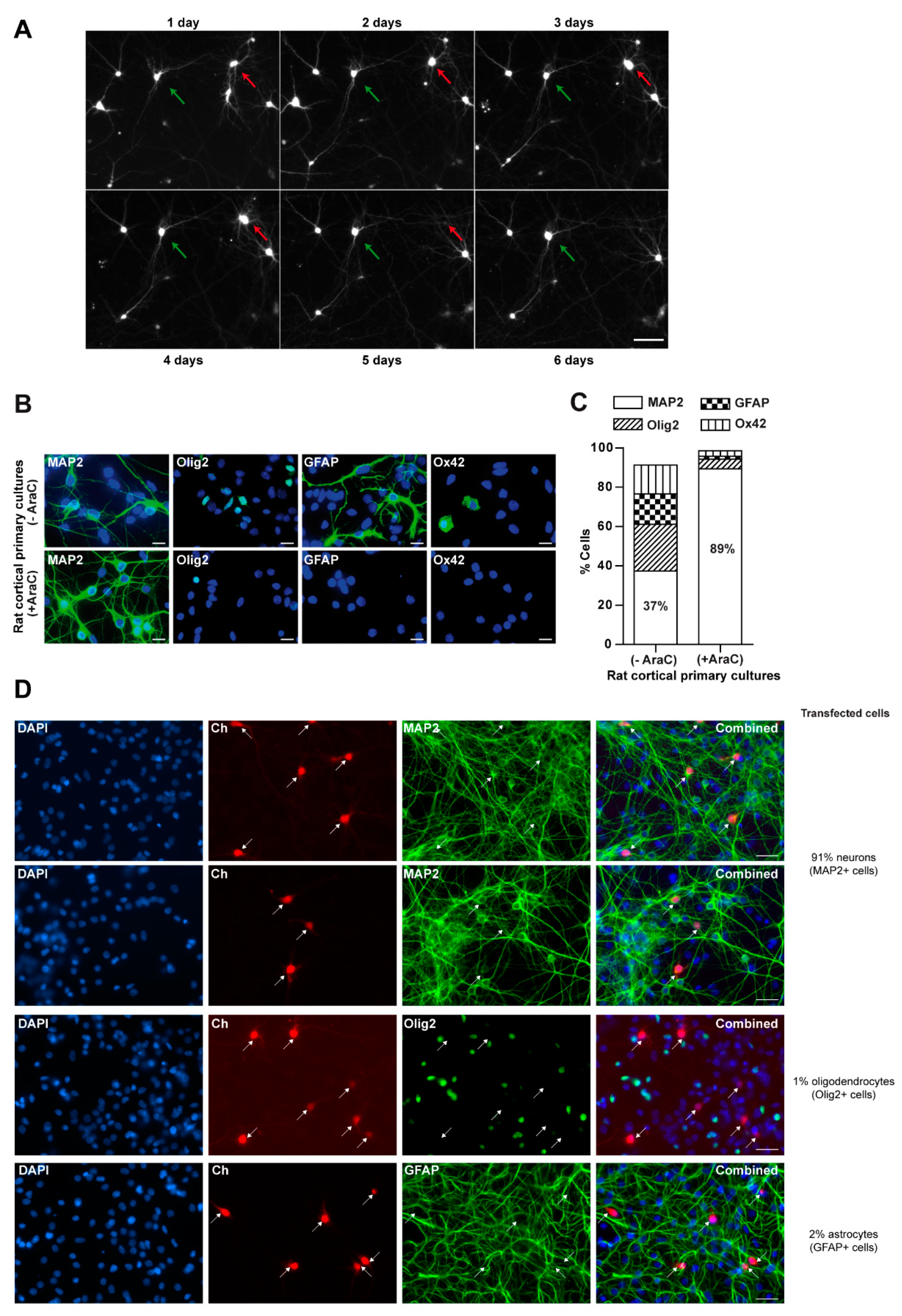Biomolecules 10 01198 g001 Biomolecules 10 01198 g001