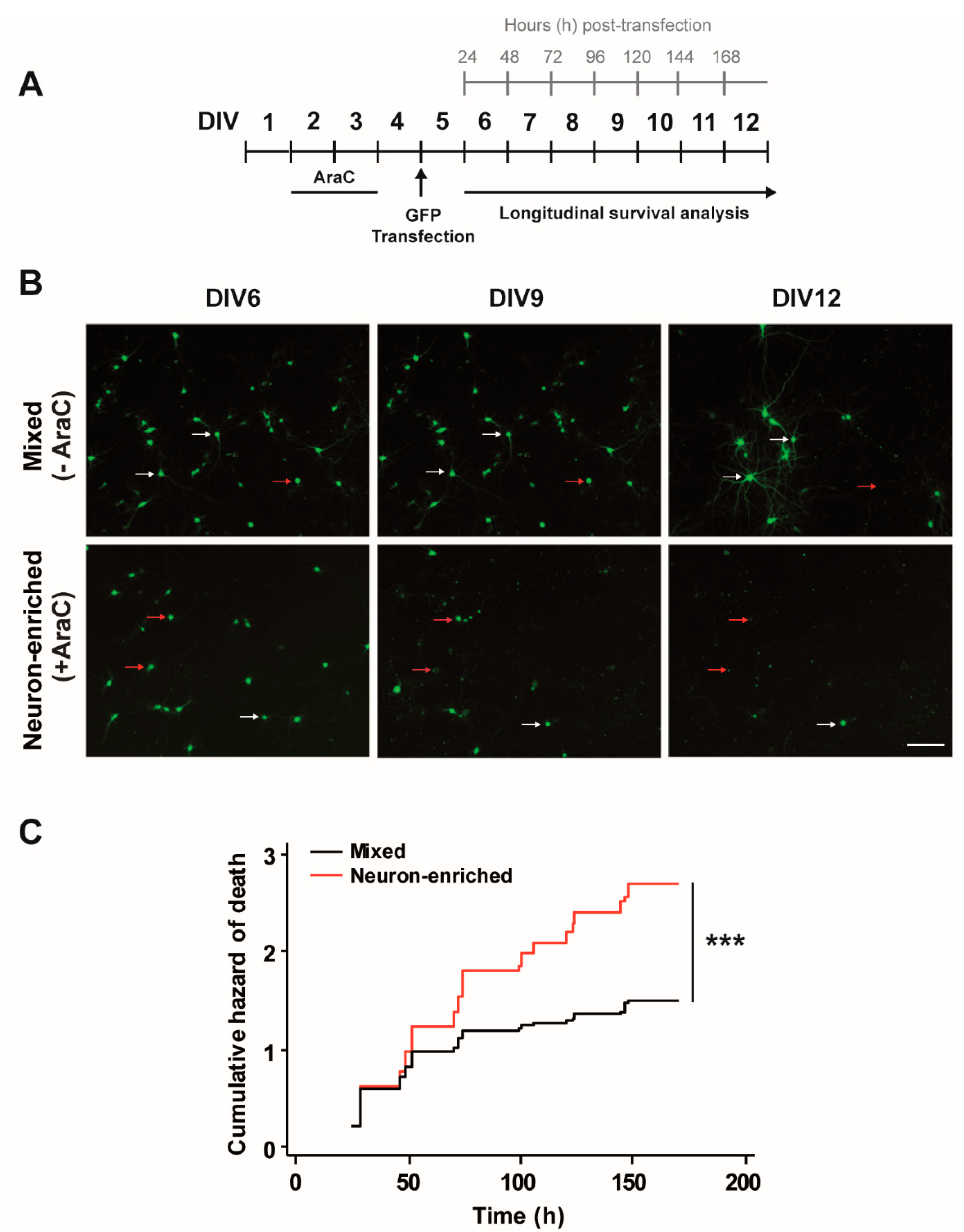 Biomolecules 10 01198 g002 Biomolecules 10 01198 g002