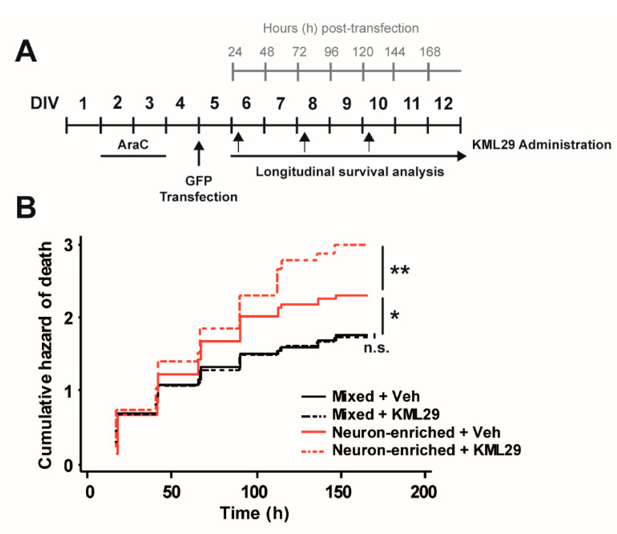 Biomolecules 10 01198 g003 Biomolecules 10 01198 g003