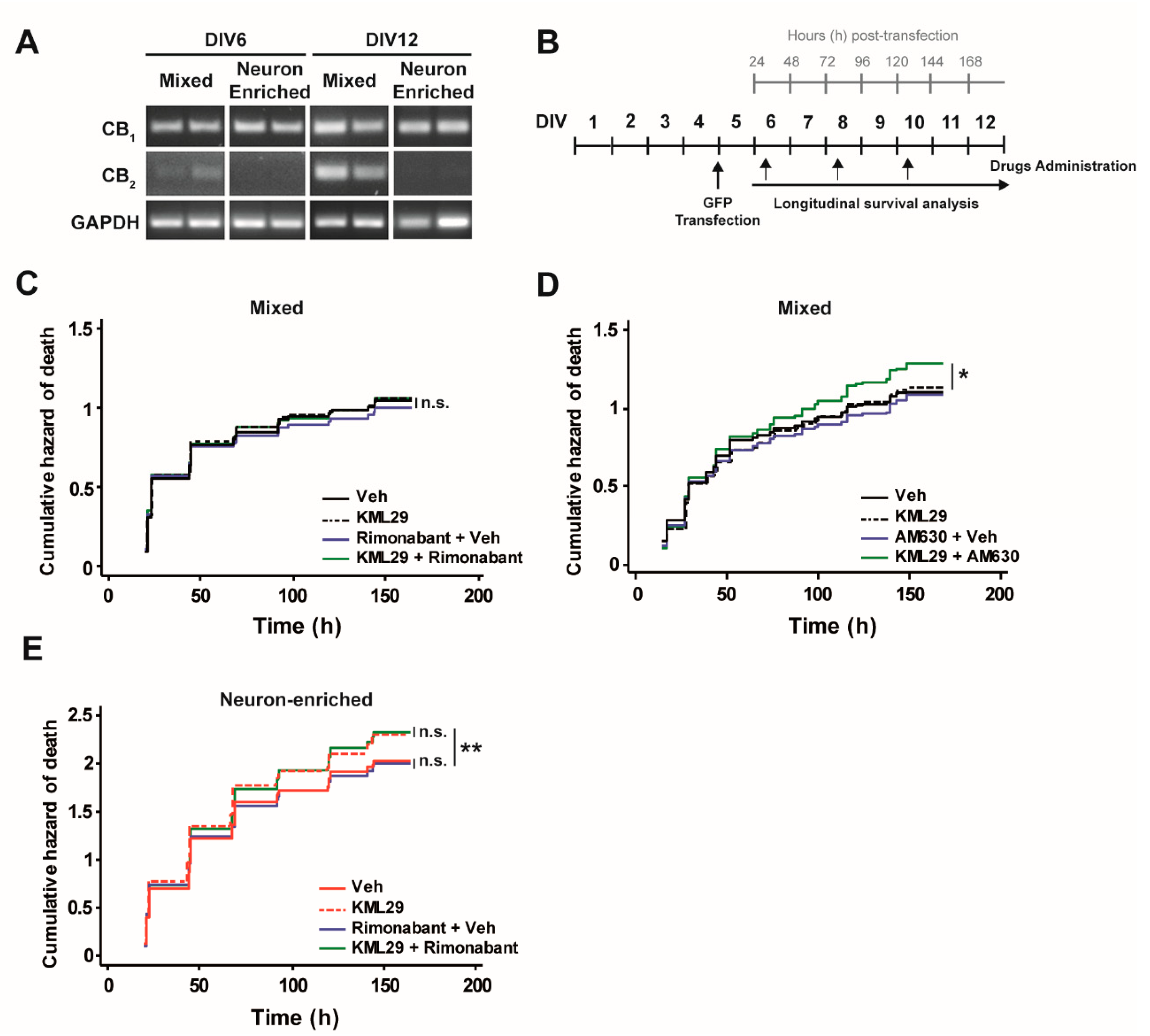 Biomolecules 10 01198 g004 Biomolecules 10 01198 g004