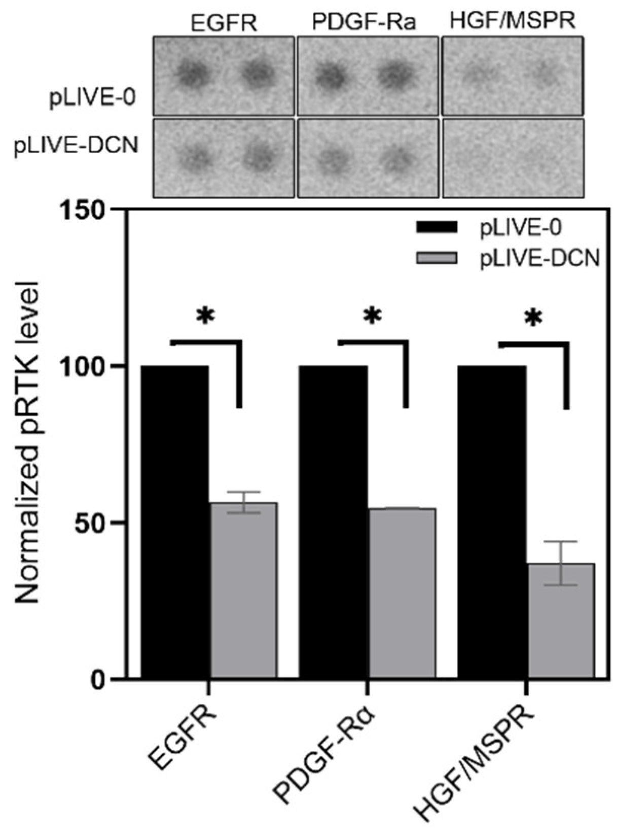Biomolecules 10 01199 g005 Biomolecules 10 01199 g005