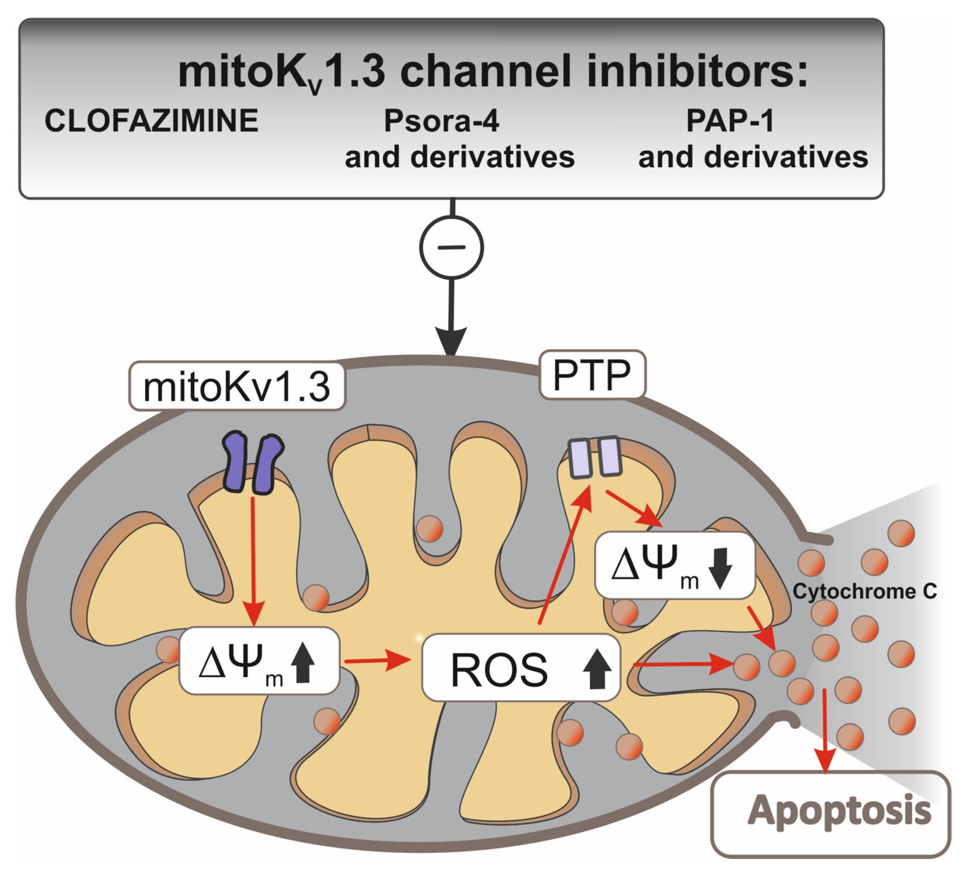 Biomolecules 10 01200 g002 Biomolecules 10 01200 g002