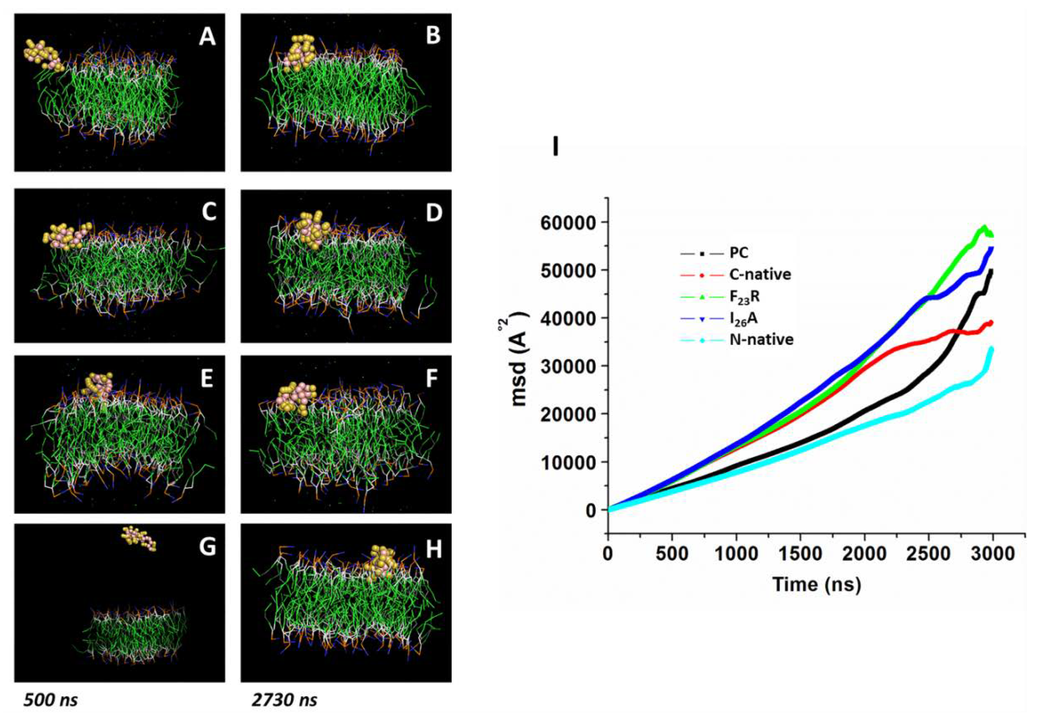 Biomolecules 10 01201 g004