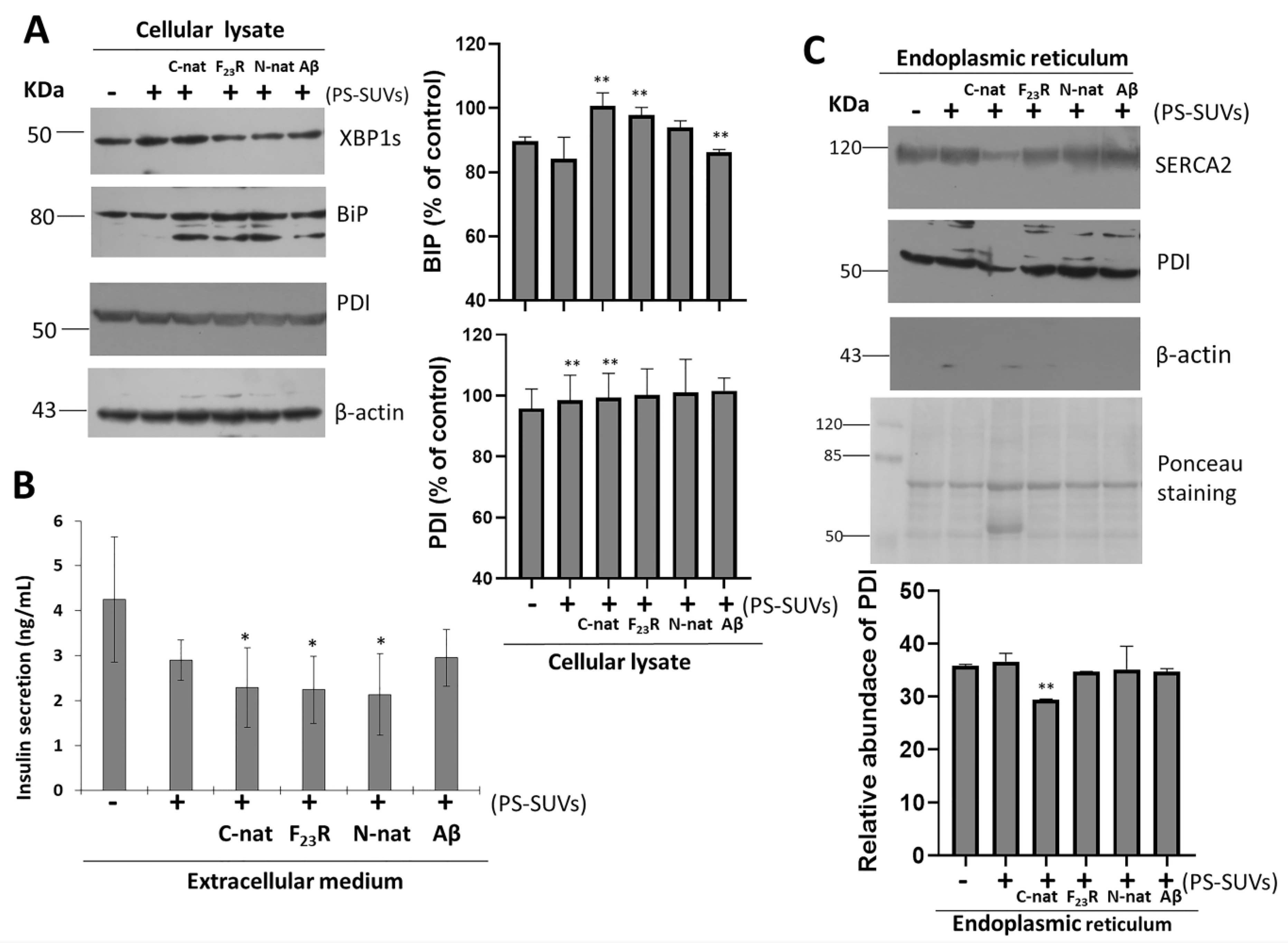 Biomolecules 10 01201 g008