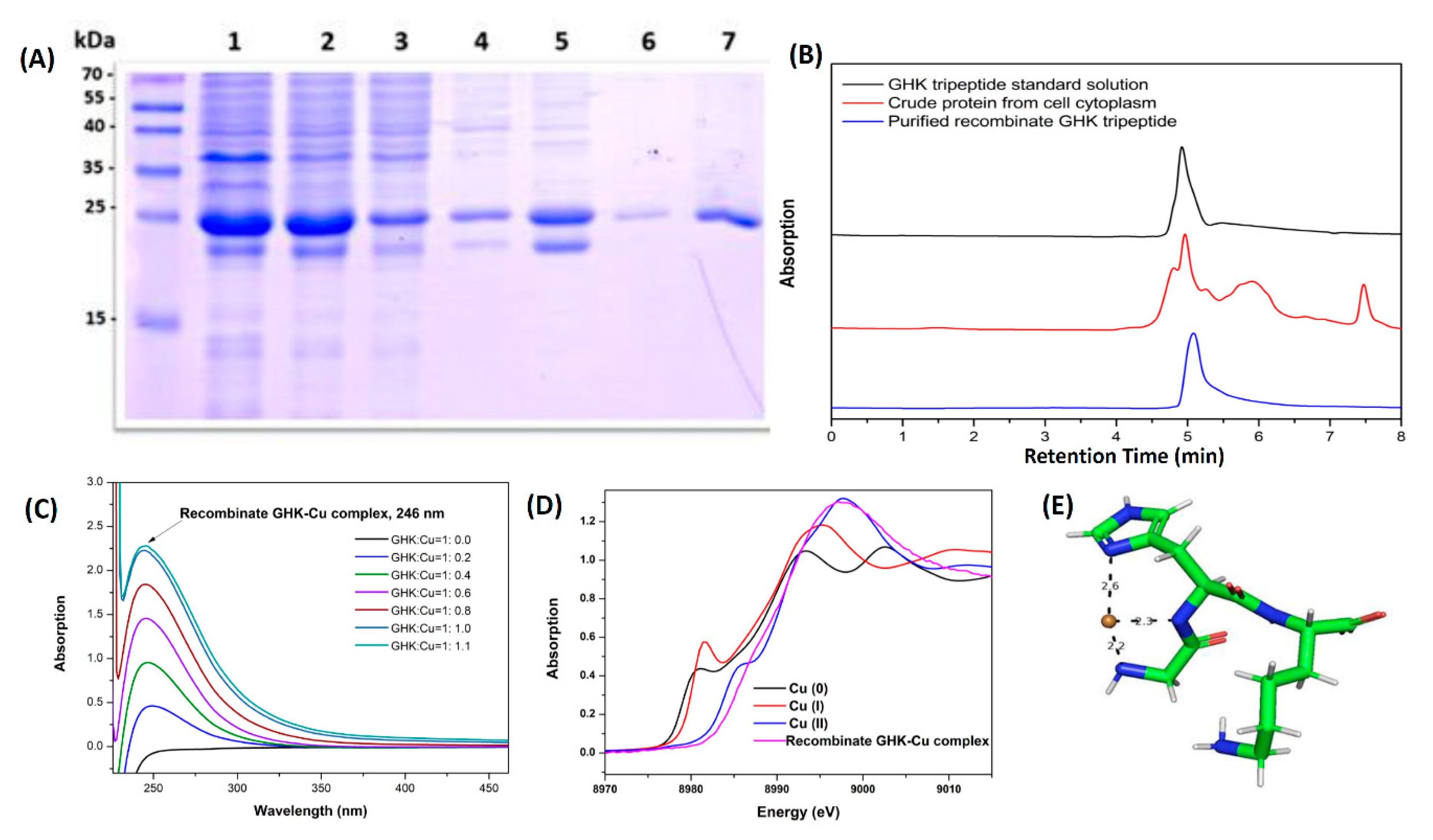 Biomolecules 10 01202 g002 Biomolecules 10 01202 g002