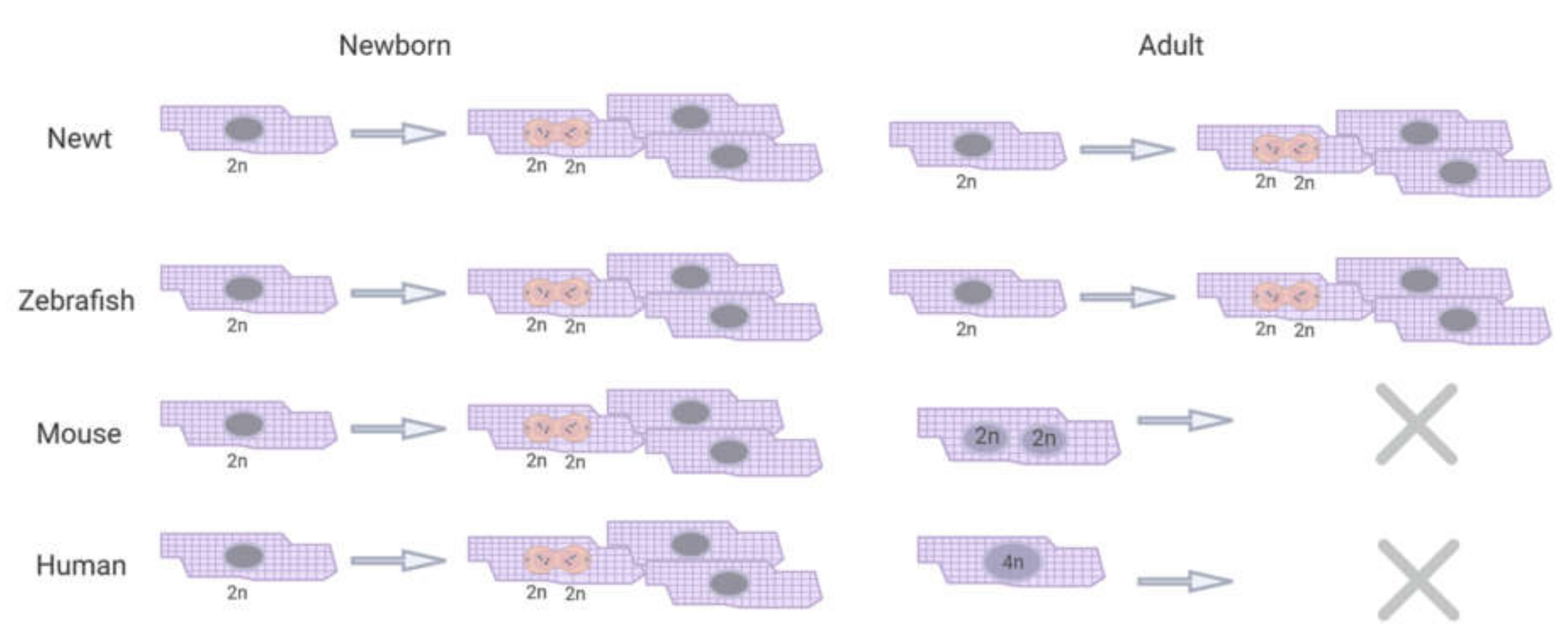 Biomolecules 10 01204 g002 Biomolecules 10 01204 g002