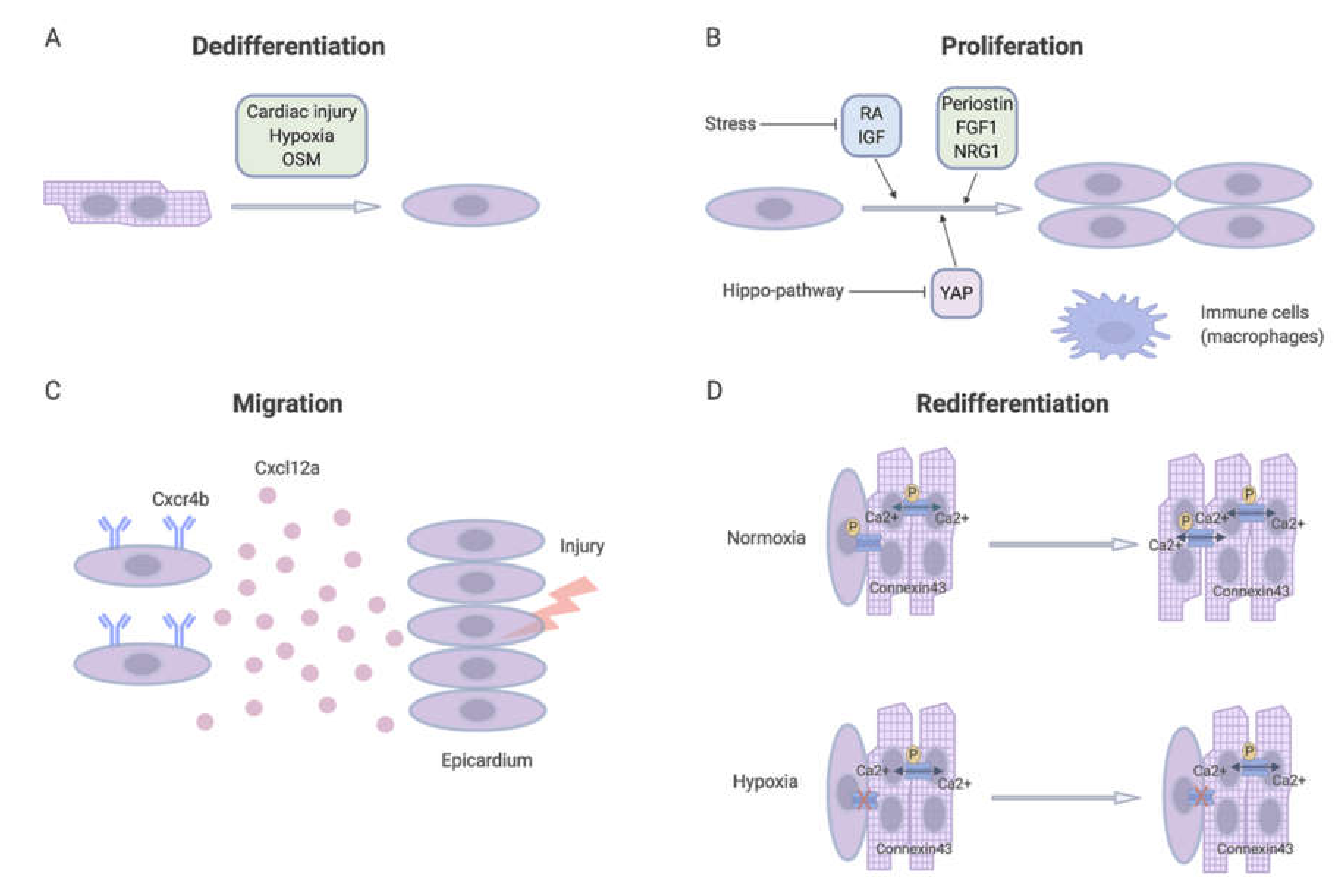 Biomolecules 10 01204 g003 Biomolecules 10 01204 g003