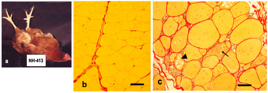 Biomolecules 10 01206 g001 550