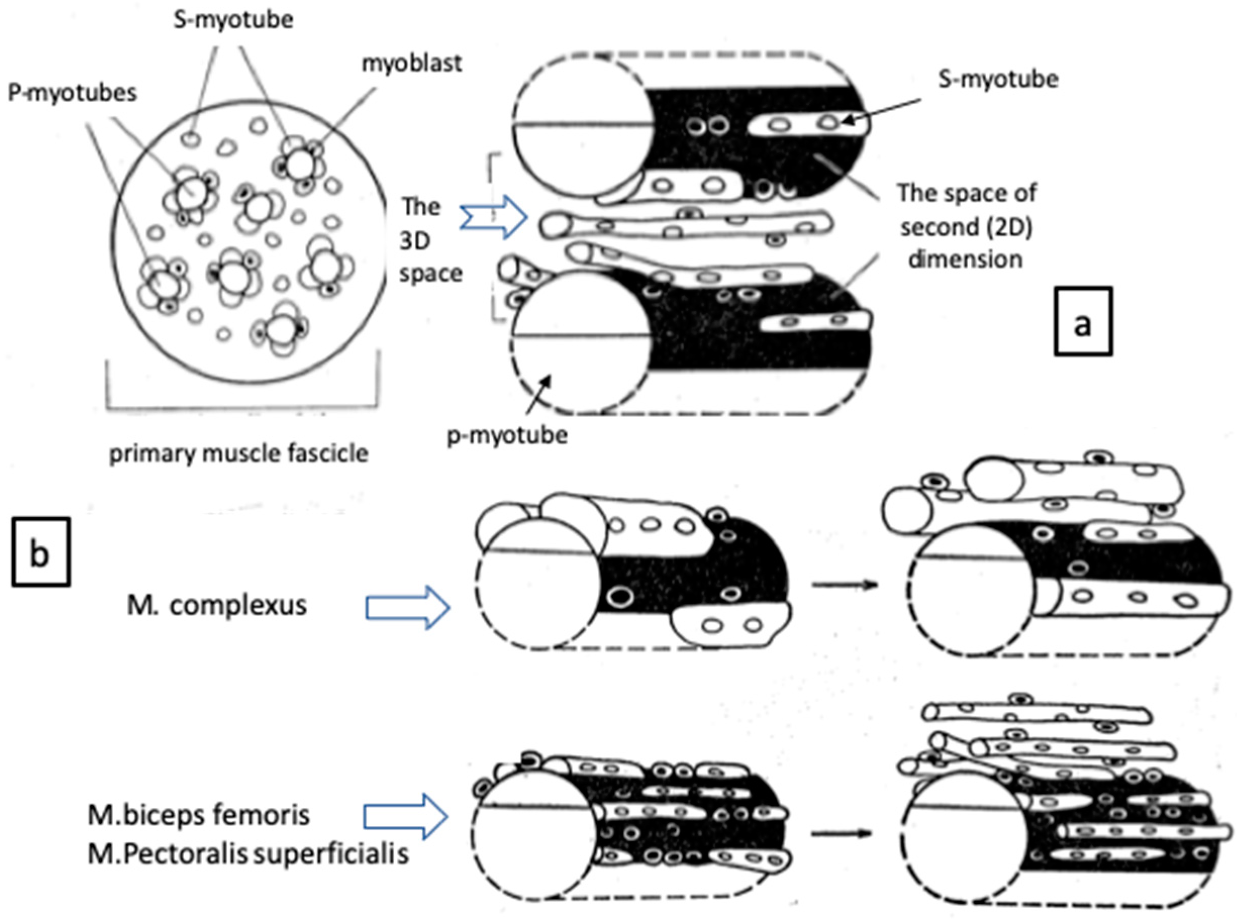 Biomolecules 10 01206 g002