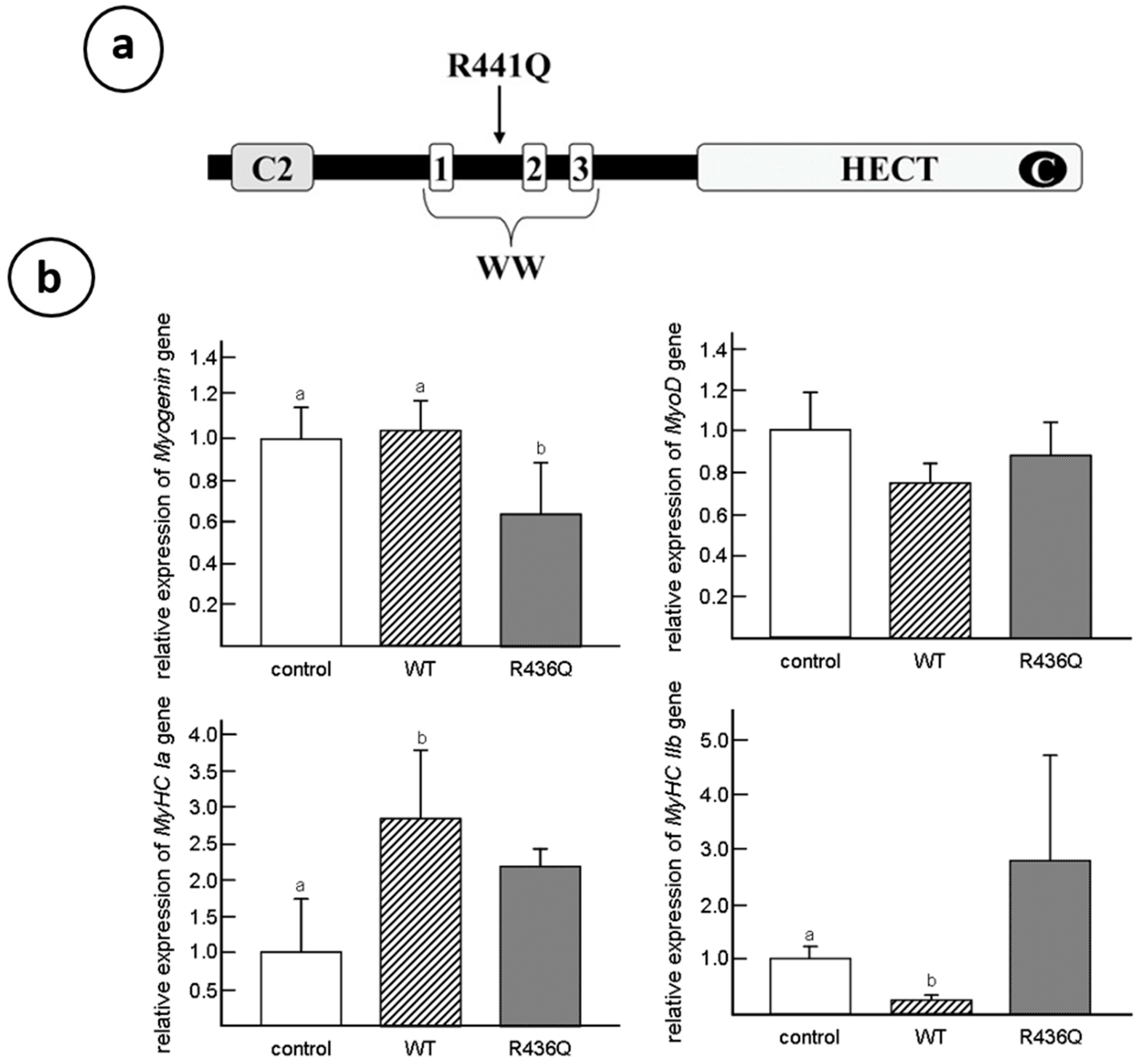 Biomolecules 10 01206 g005