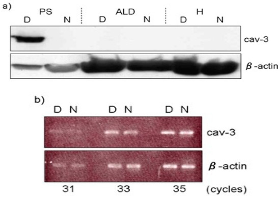 Biomolecules 10 01206 g006 550