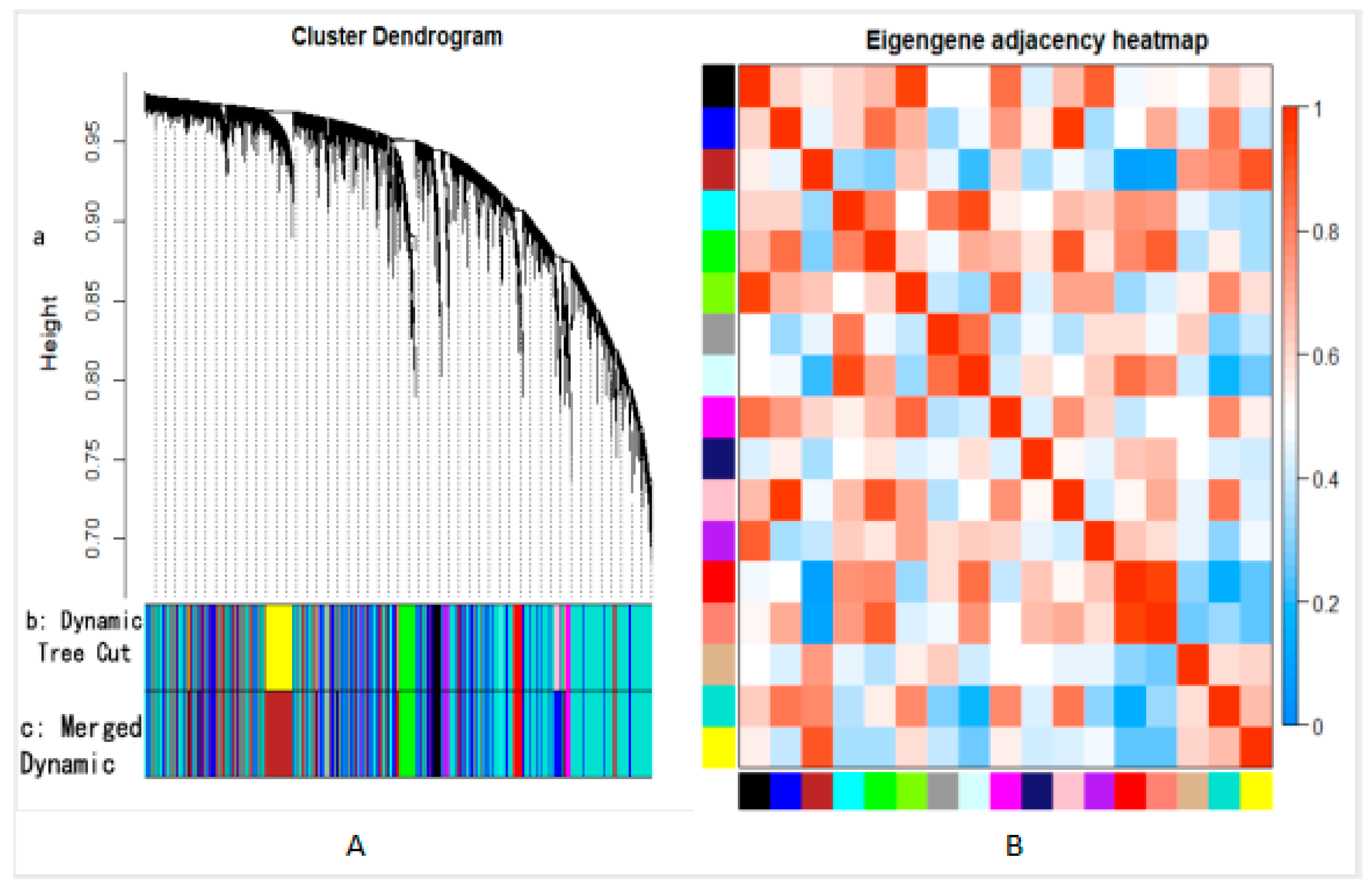 Colorectal Cancer Prediction Based on Weighted Gene Co