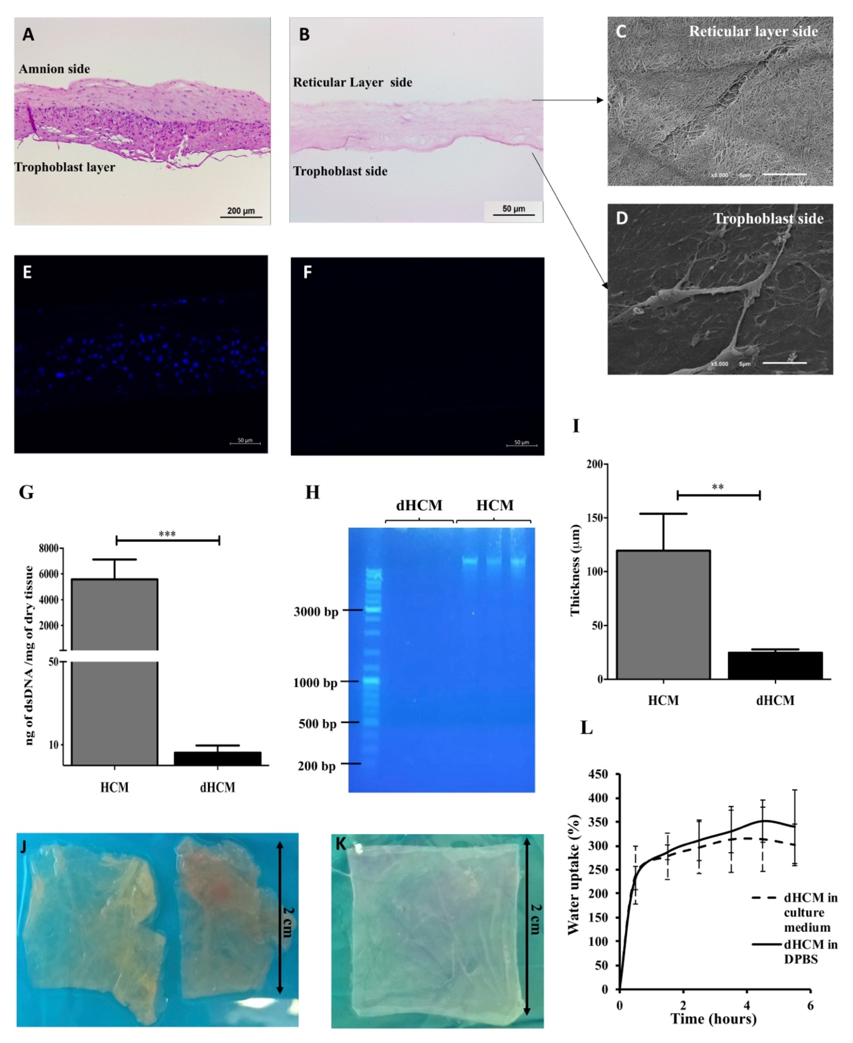 Biomolecules 10 01208 g001 Biomolecules 10 01208 g001