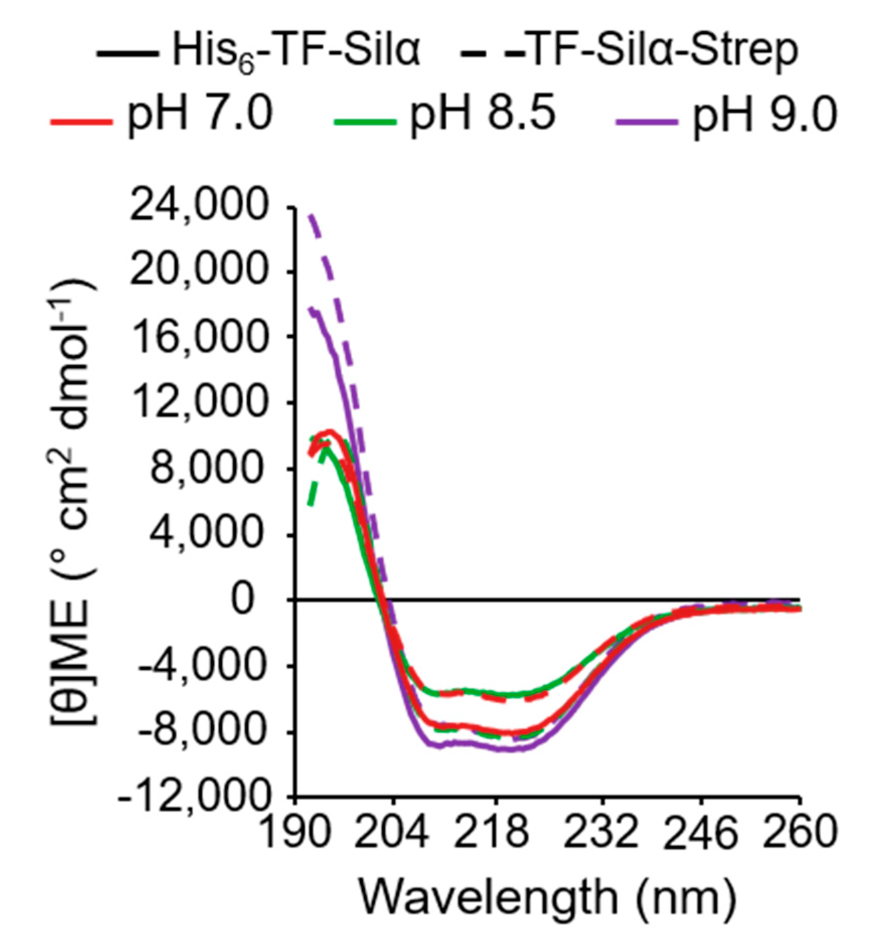 Biomolecules 10 01209 g003