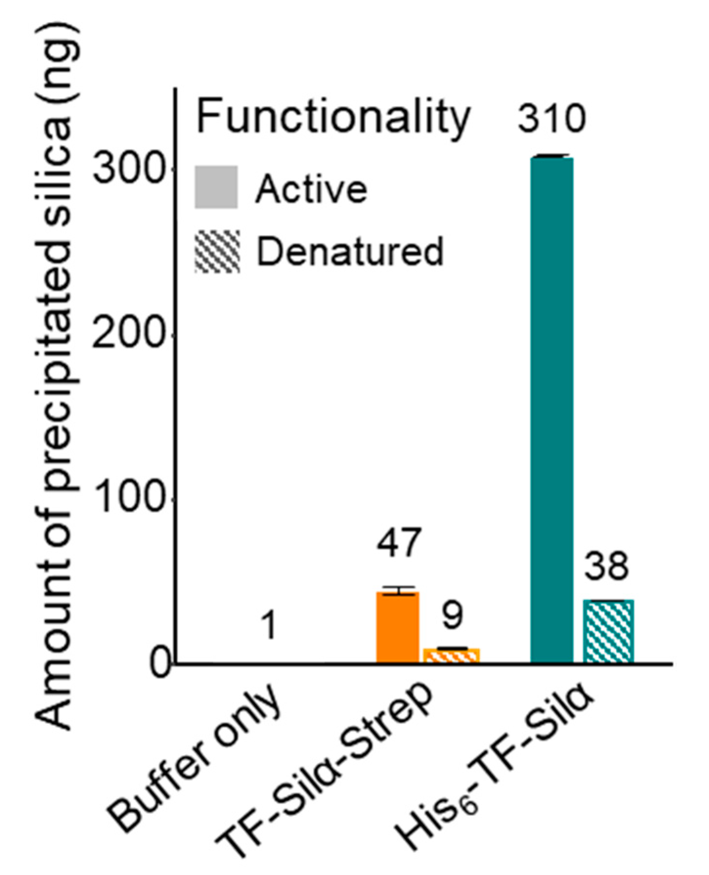 Biomolecules 10 01209 g007