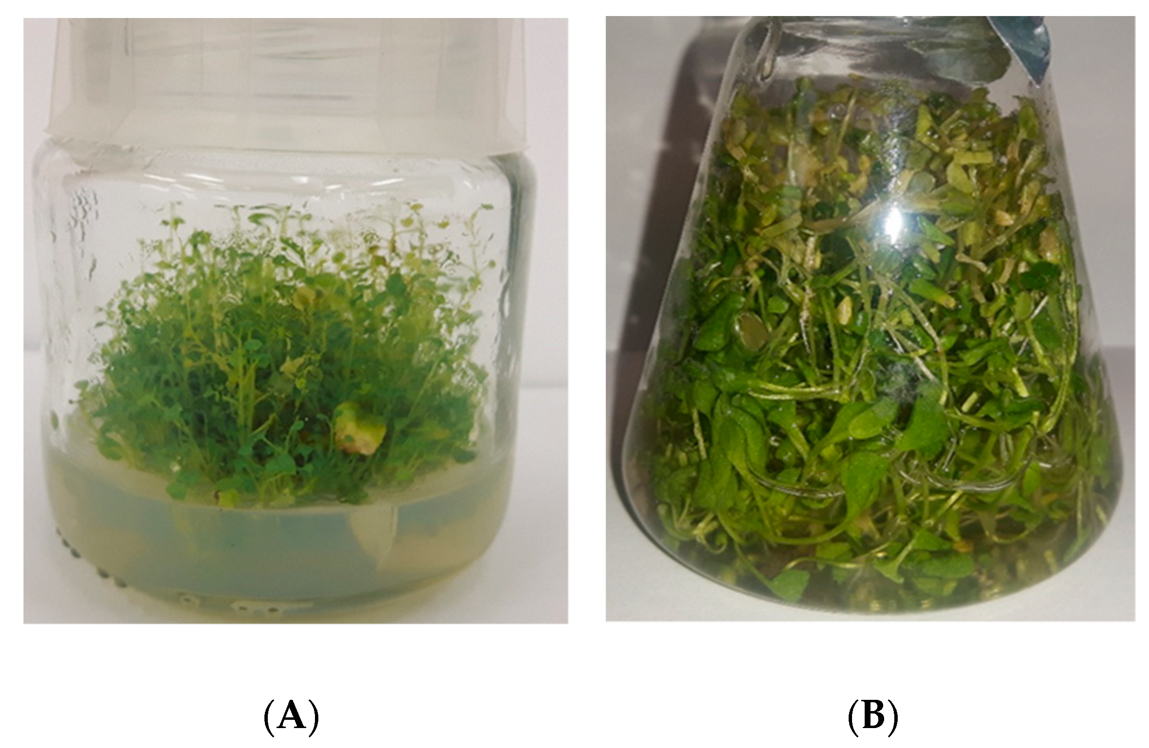 Biomolecules 10 01216 g001 Biomolecules 10 01216 g001