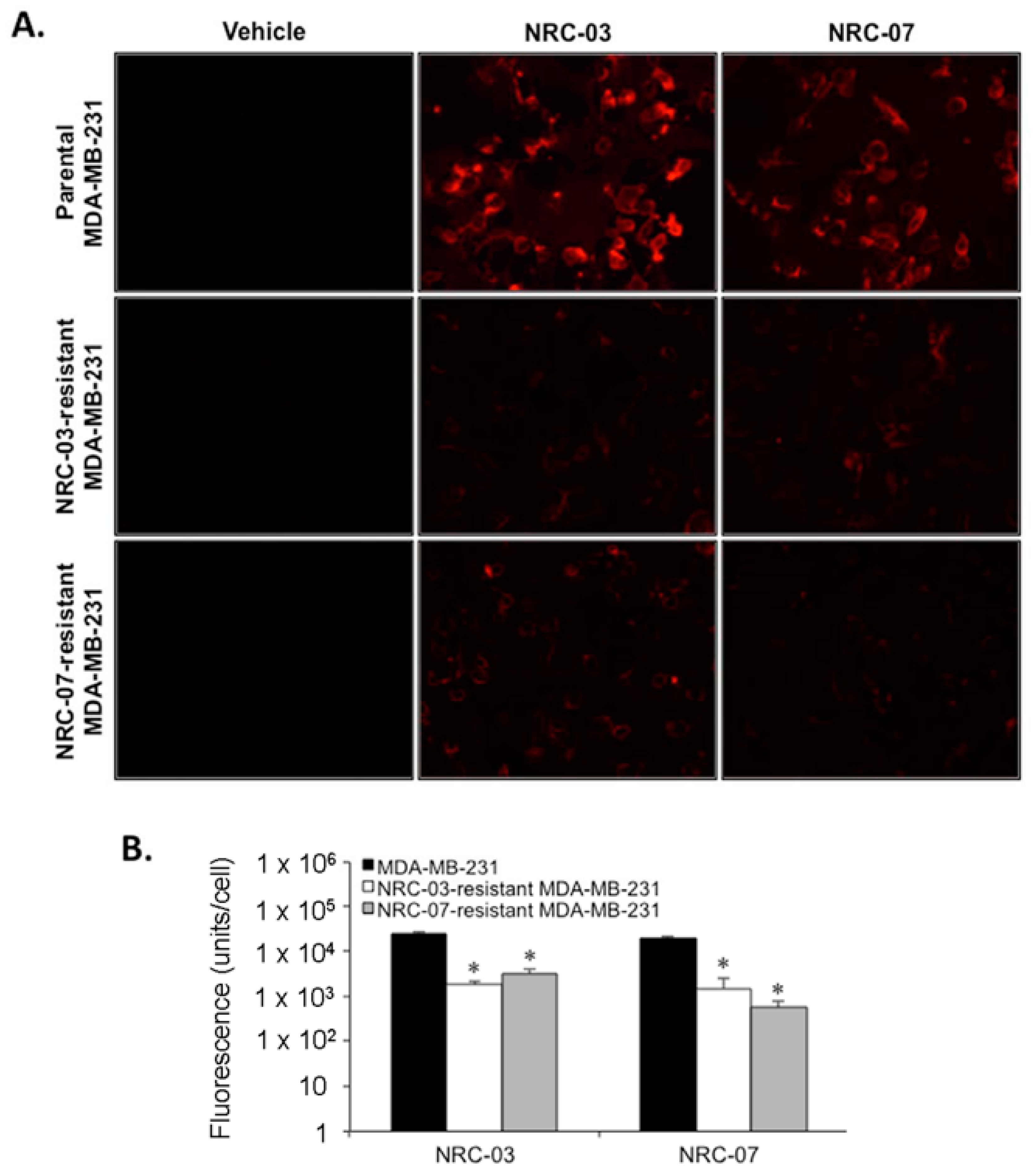 Biomolecules 10 01220 g003 Biomolecules 10 01220 g003