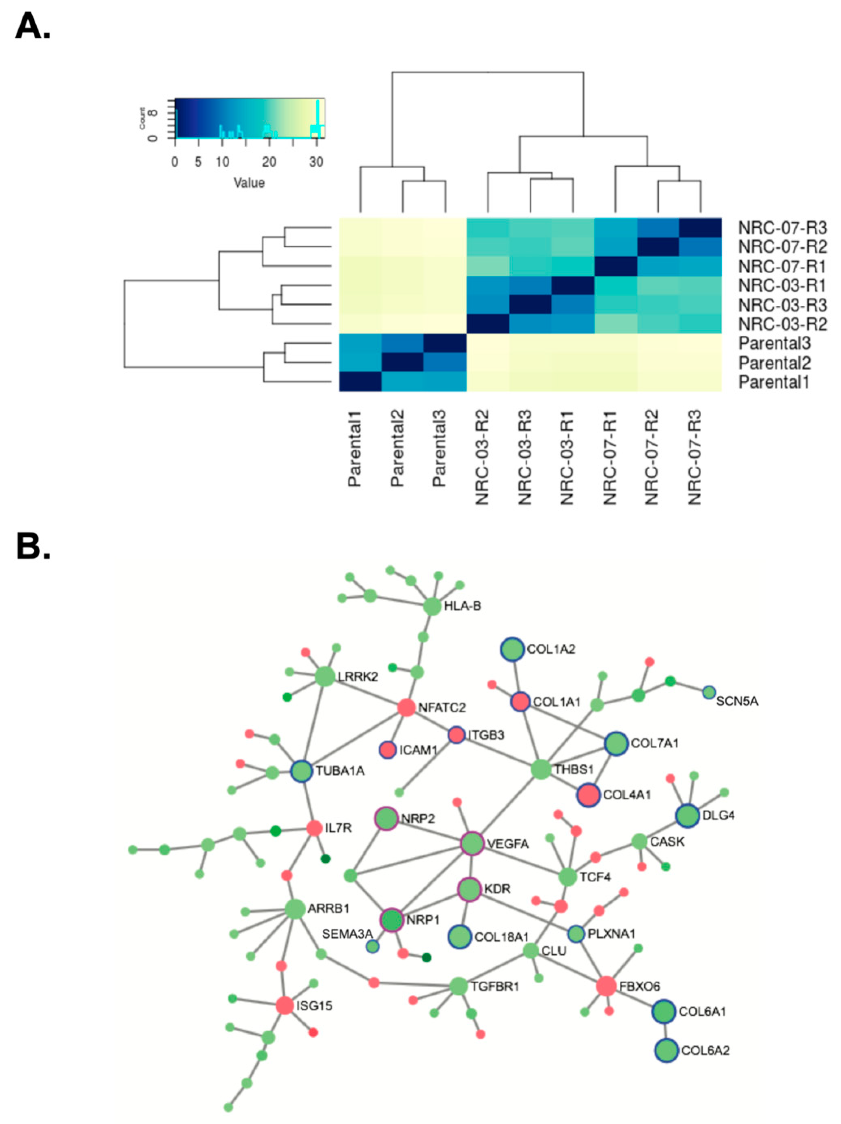 Biomolecules 10 01220 g006 Biomolecules 10 01220 g006