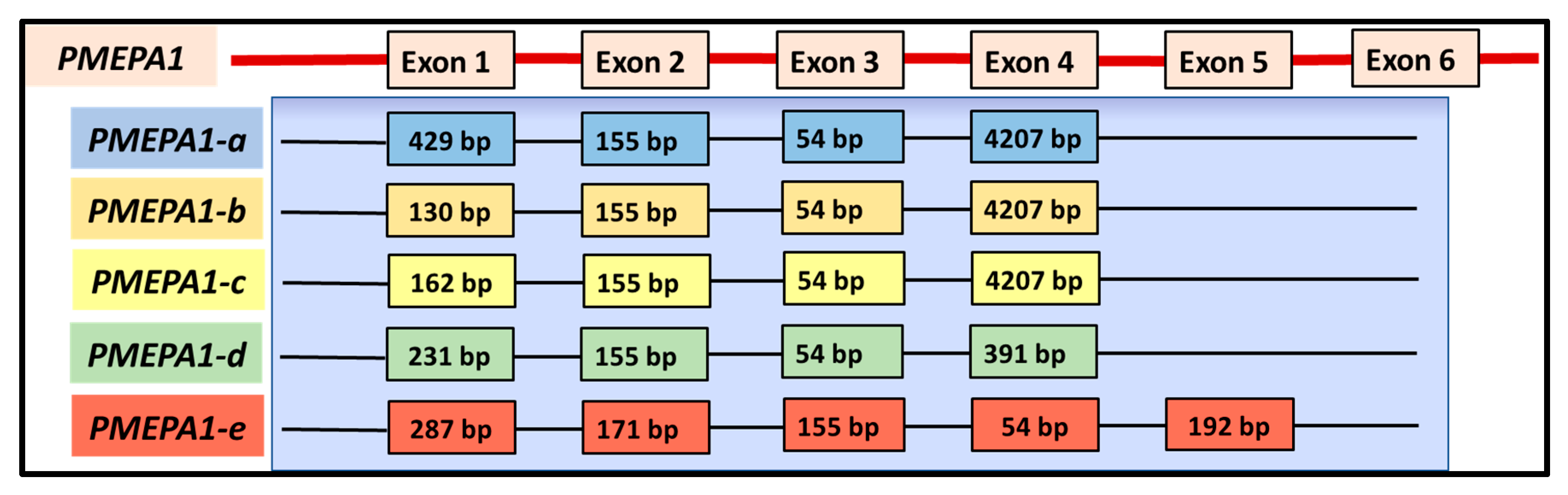 Biomolecules 10 01221 g003