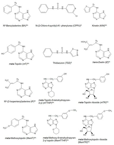 Biomolecules 10 01222 g001 550