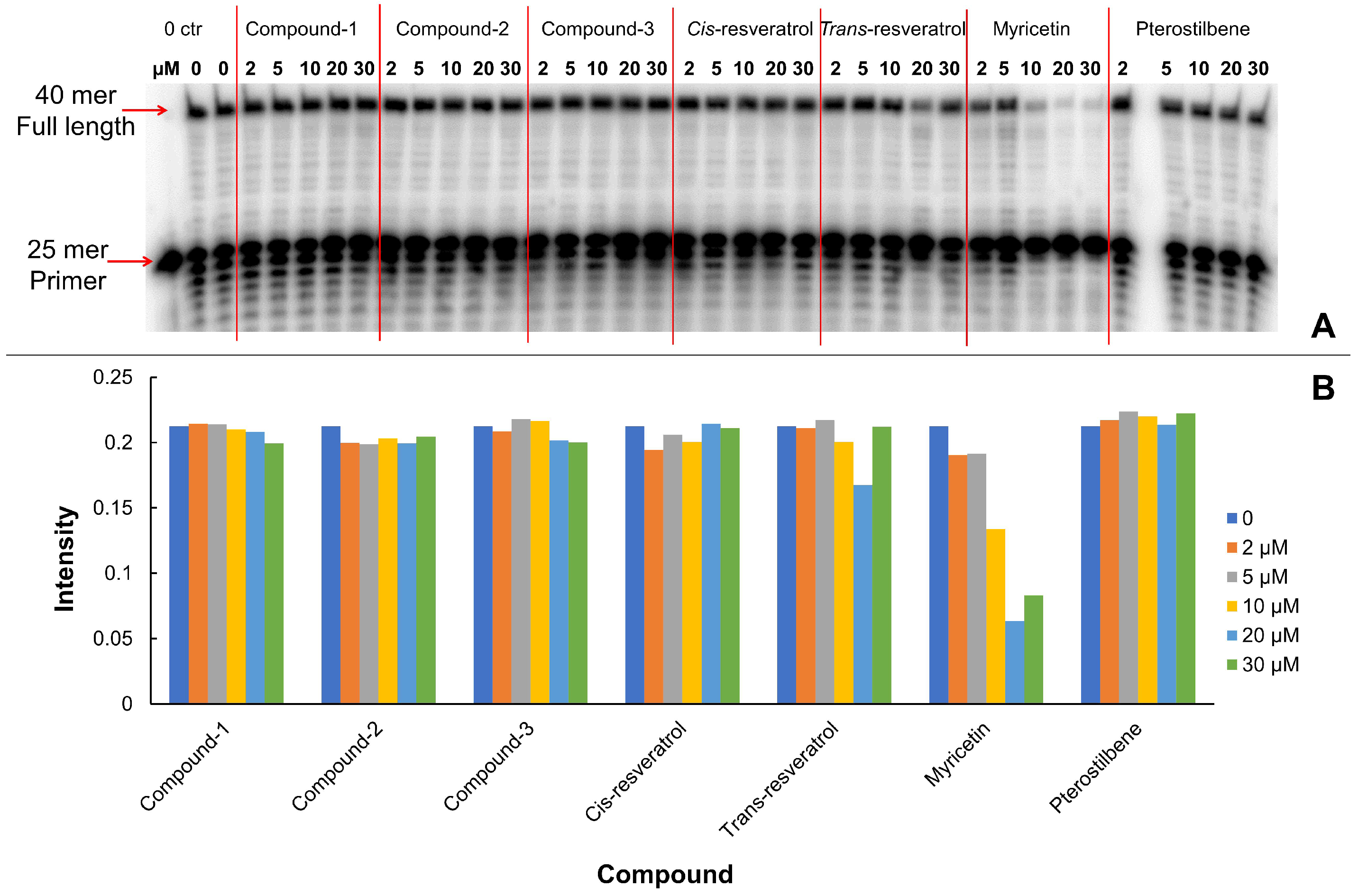 Biomolecules 10 01223 g004 Biomolecules 10 01223 g004