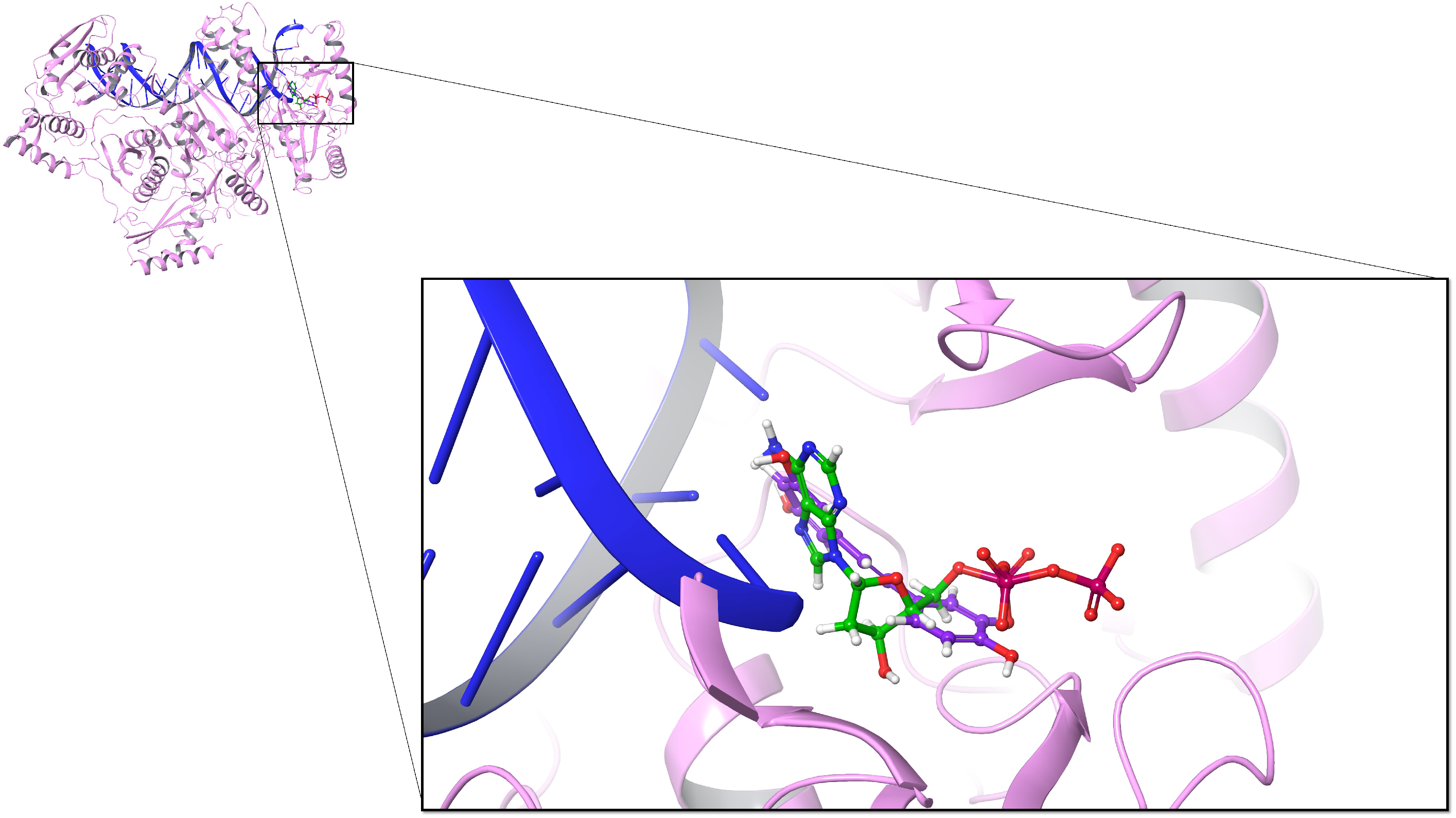 Biomolecules 10 01223 g005 Biomolecules 10 01223 g005