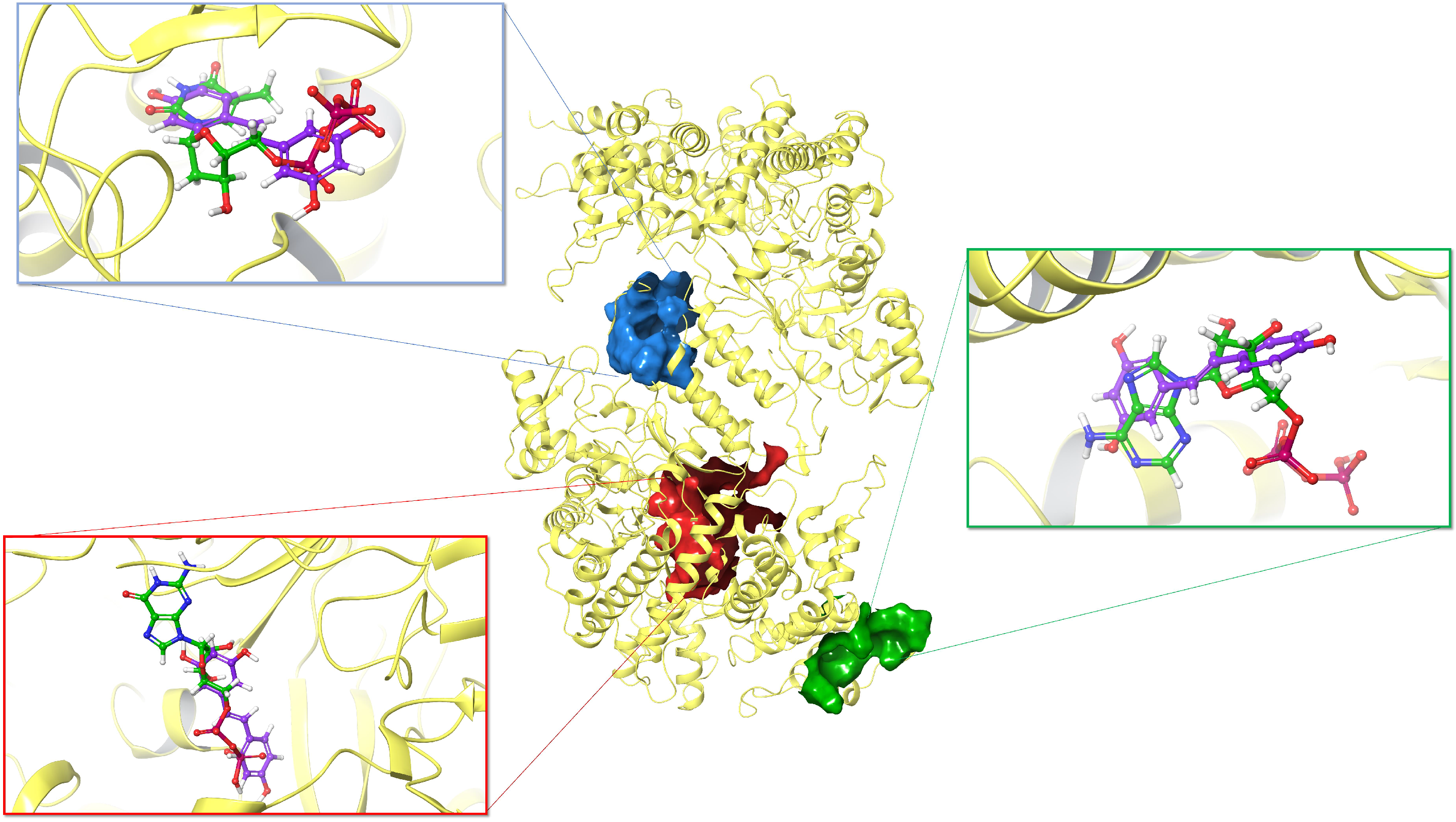 Biomolecules 10 01223 g006 Biomolecules 10 01223 g006