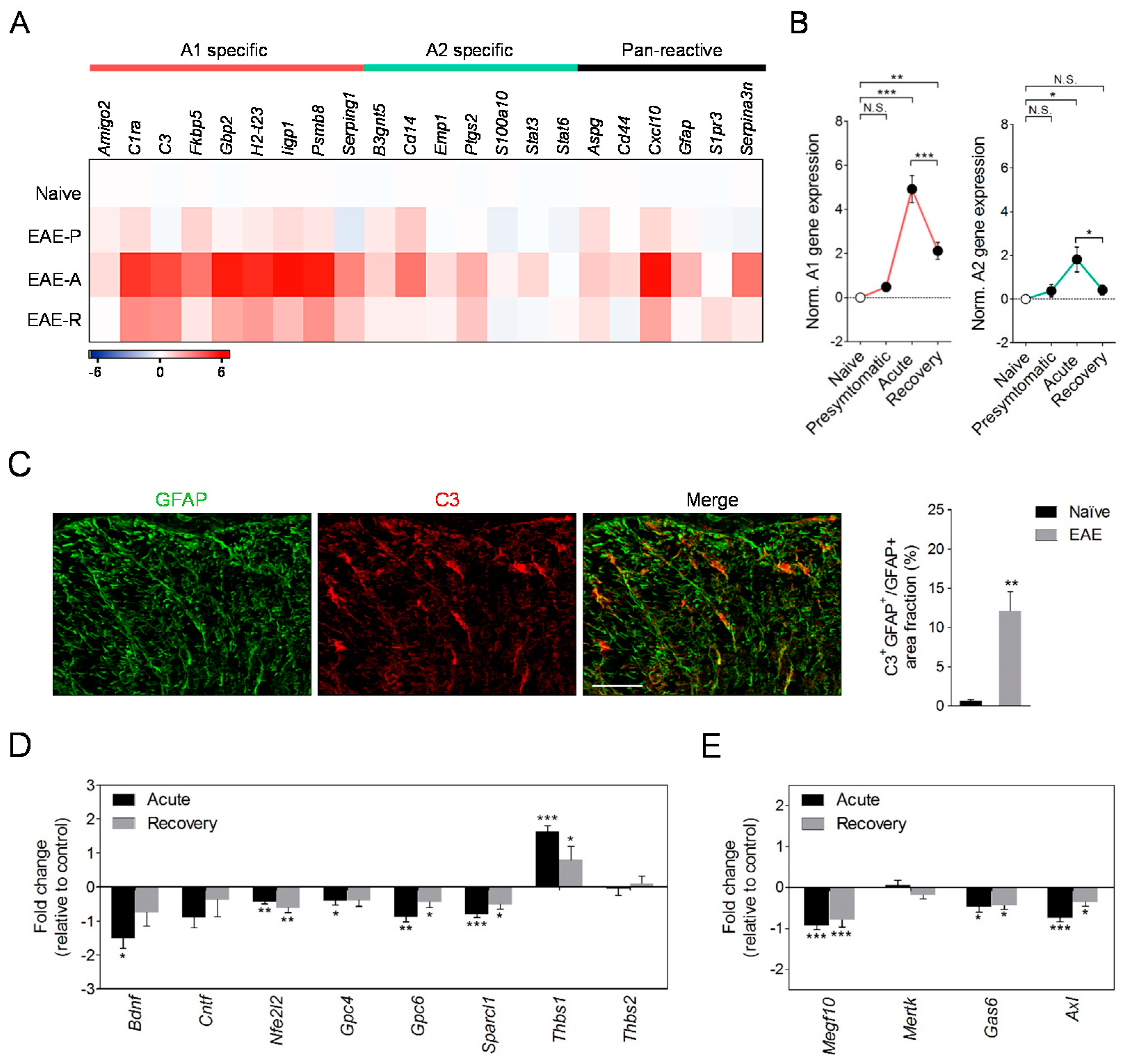 Biomolecules 10 01228 g002 Biomolecules 10 01228 g002