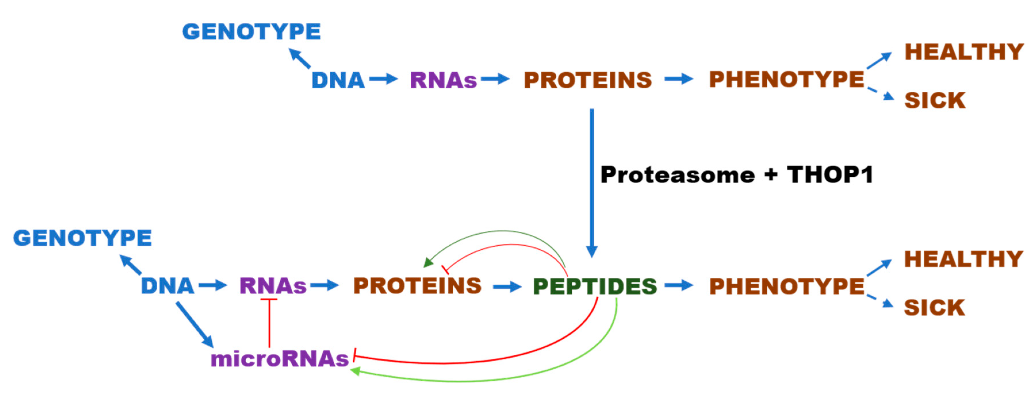 Biomolecules 10 01229 g006
