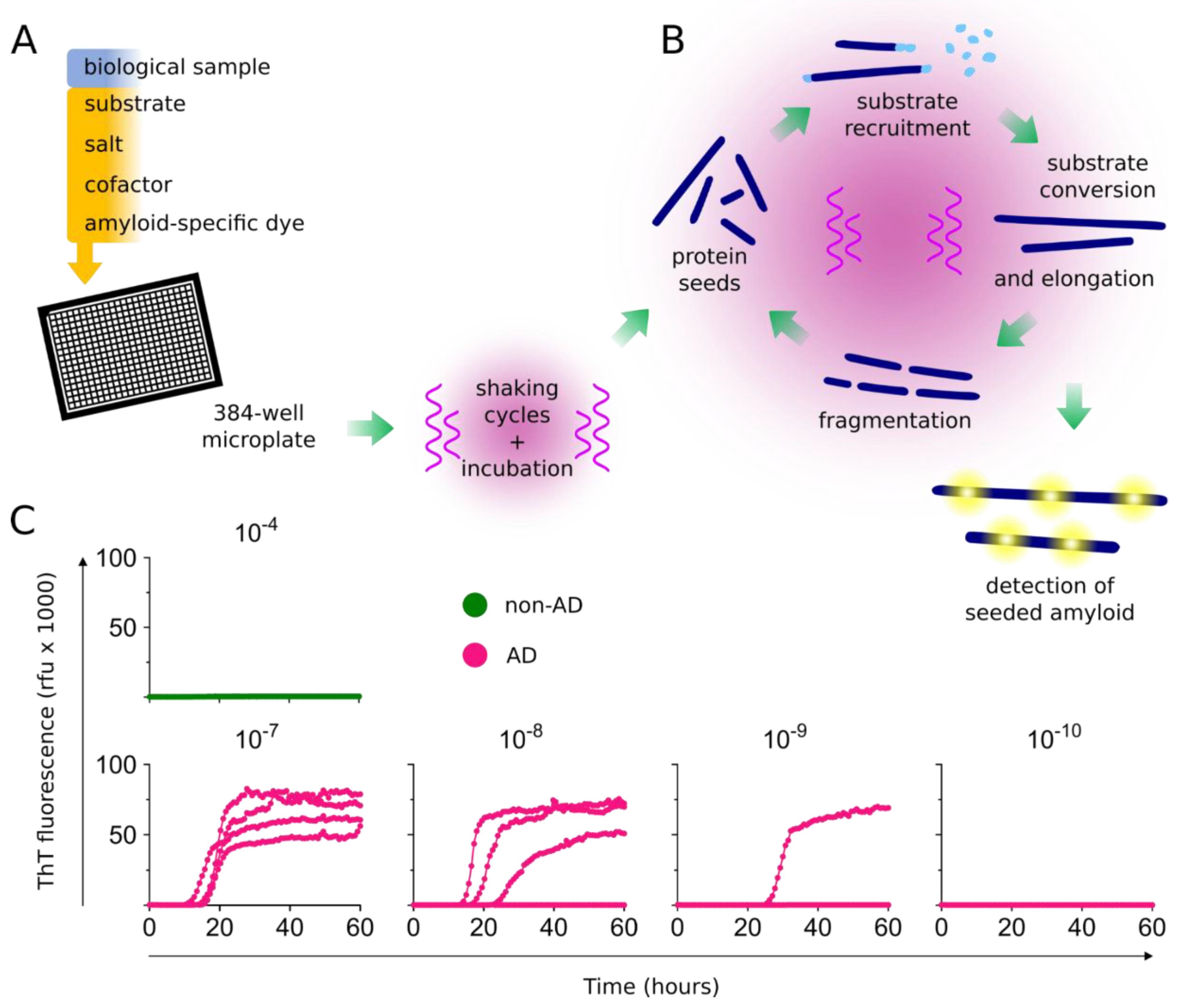 Biomolecules 10 01233 g001 Biomolecules 10 01233 g001