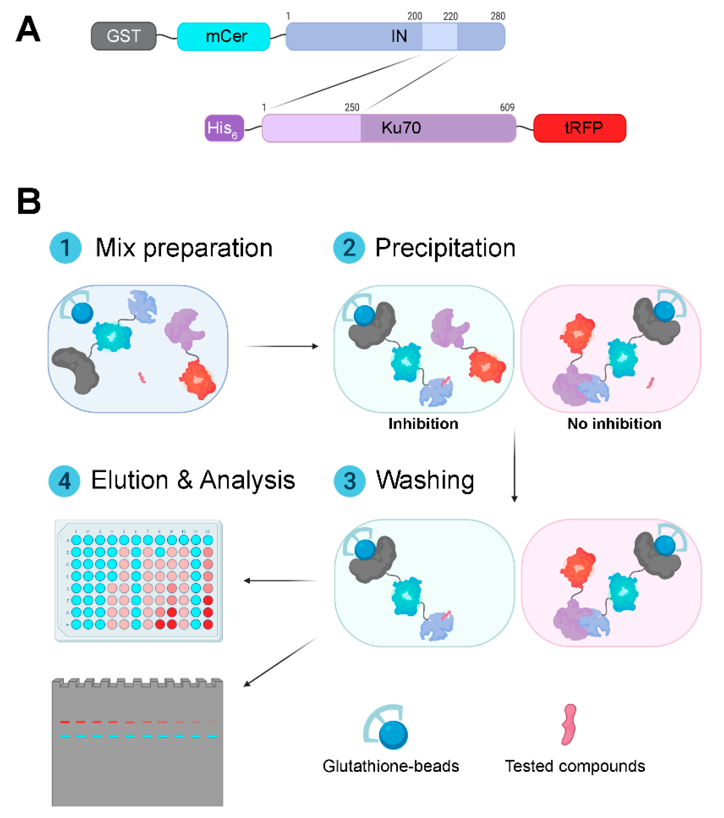 Biomolecules 10 01236 g001